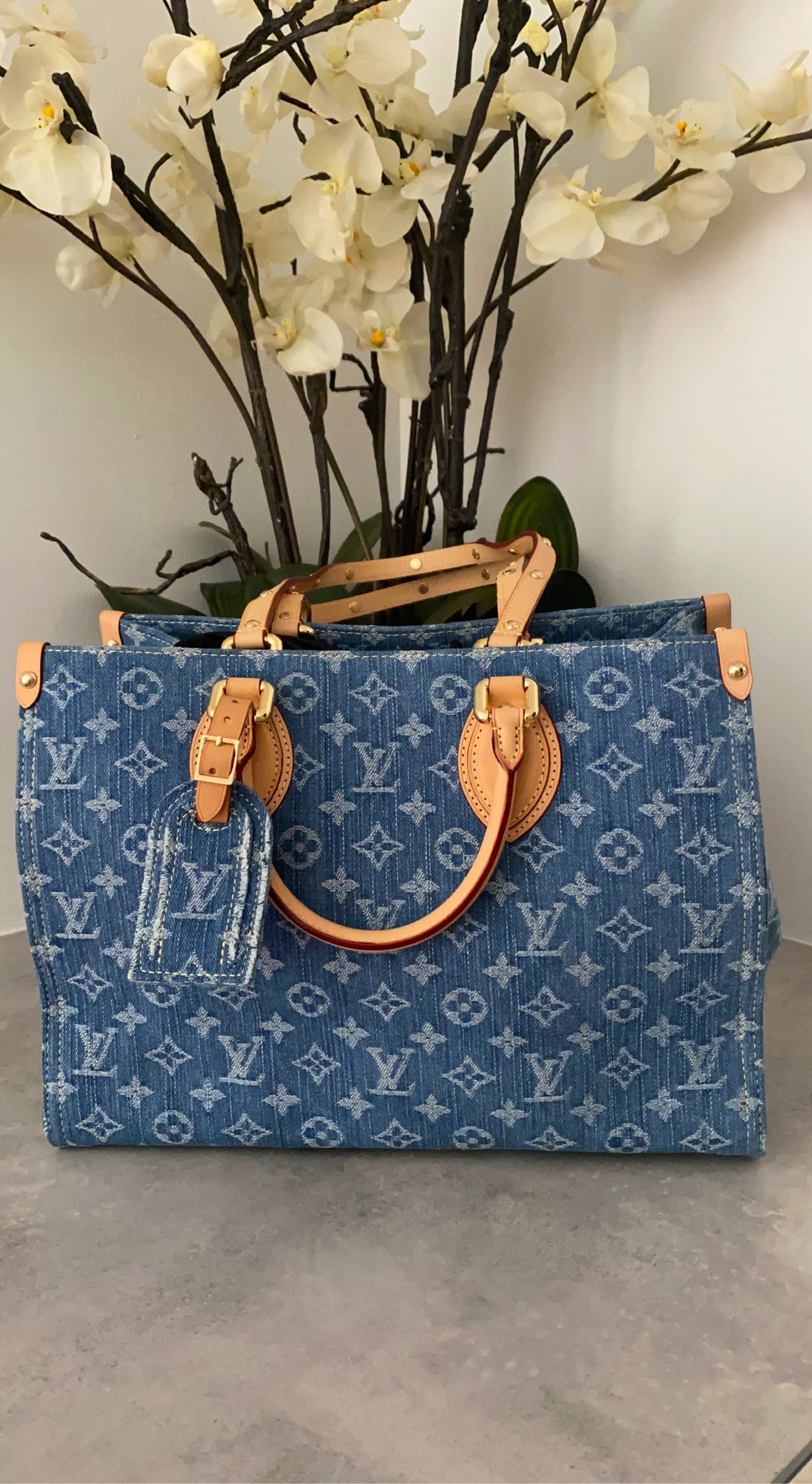 Louis Vuitton Monogram Denim Tote Bag
