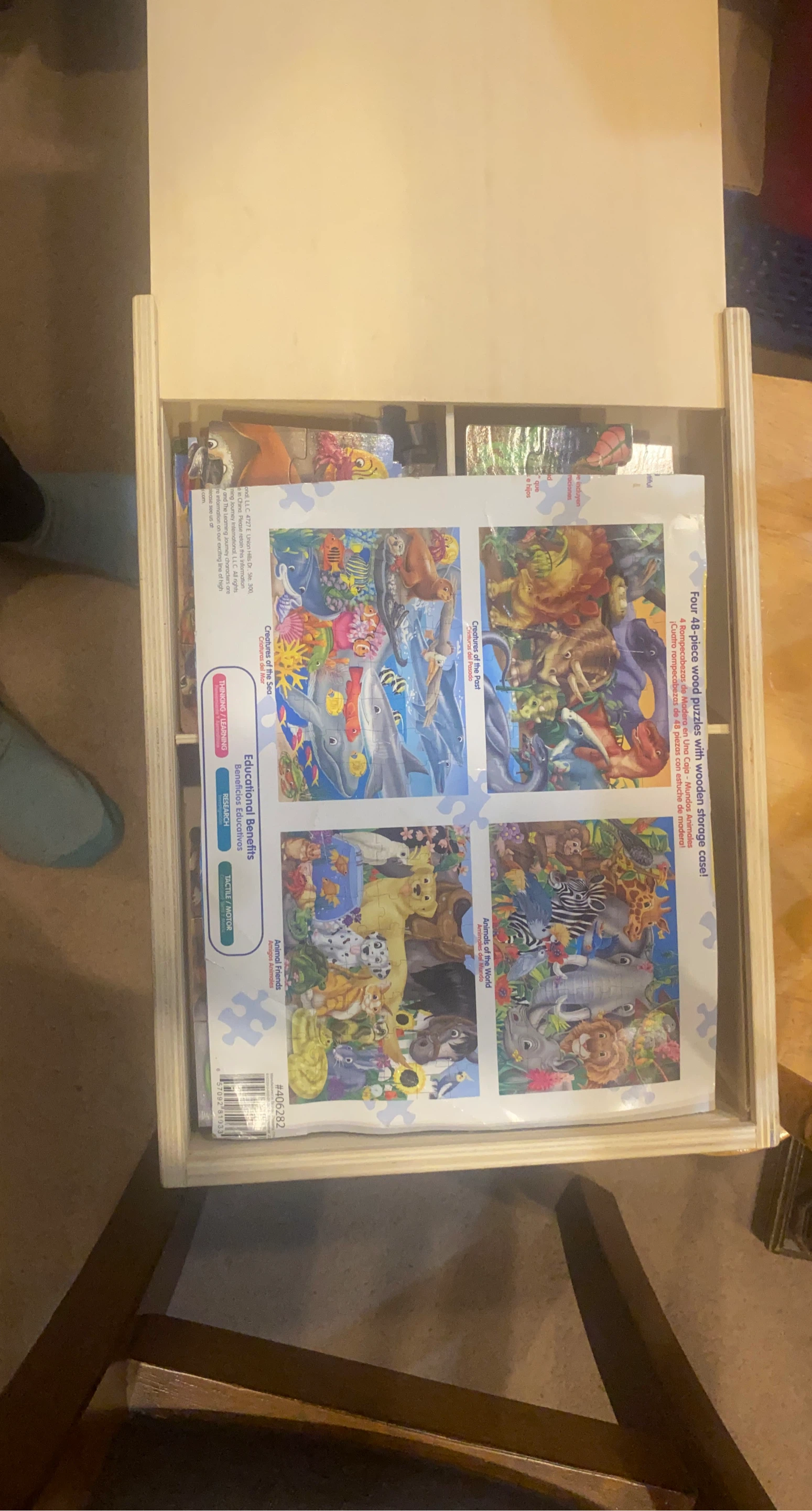 4-Piece Wooden Puzzles with Storage Case