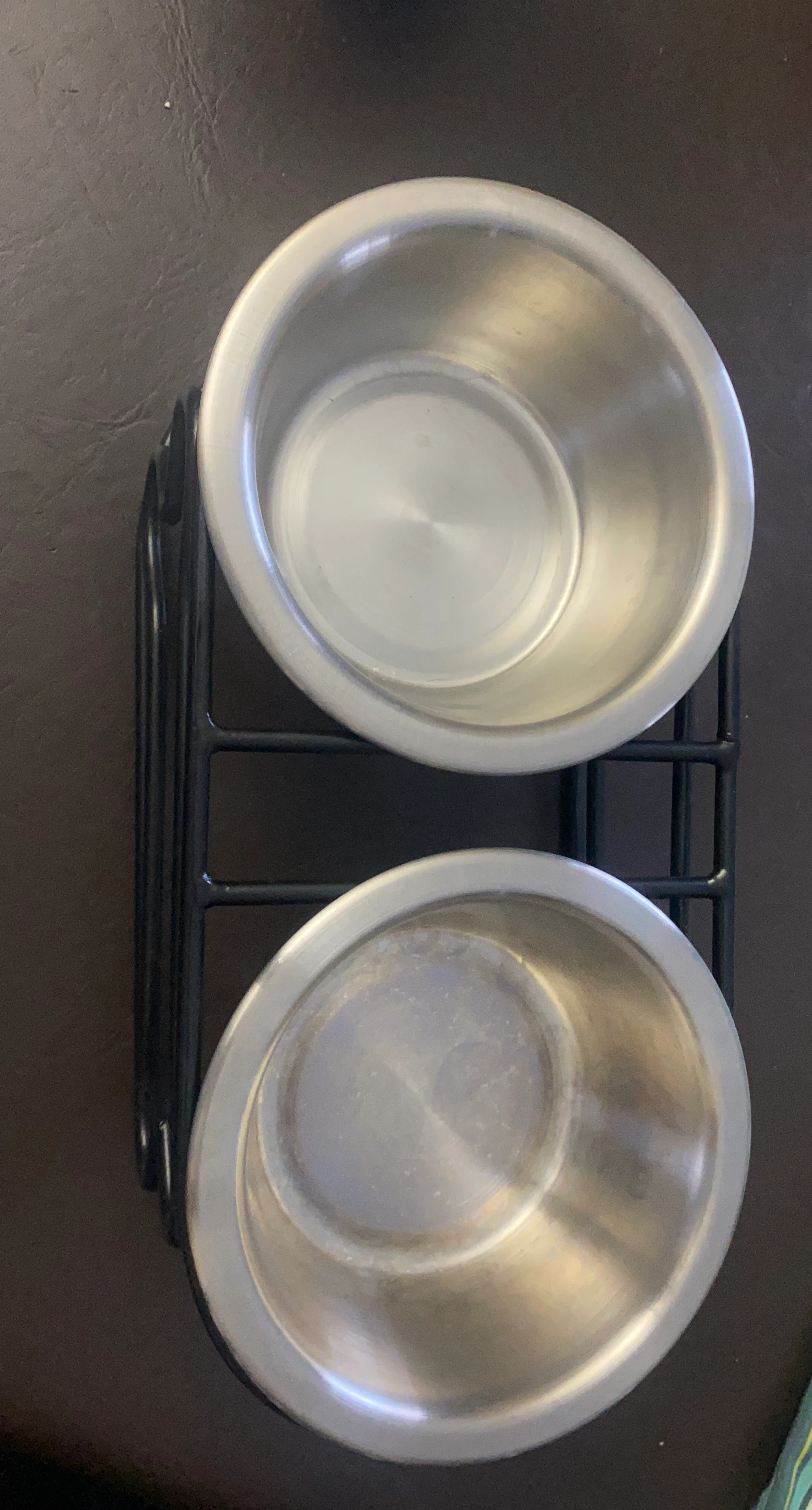 Stainless Steel Pet Bowls with Stand