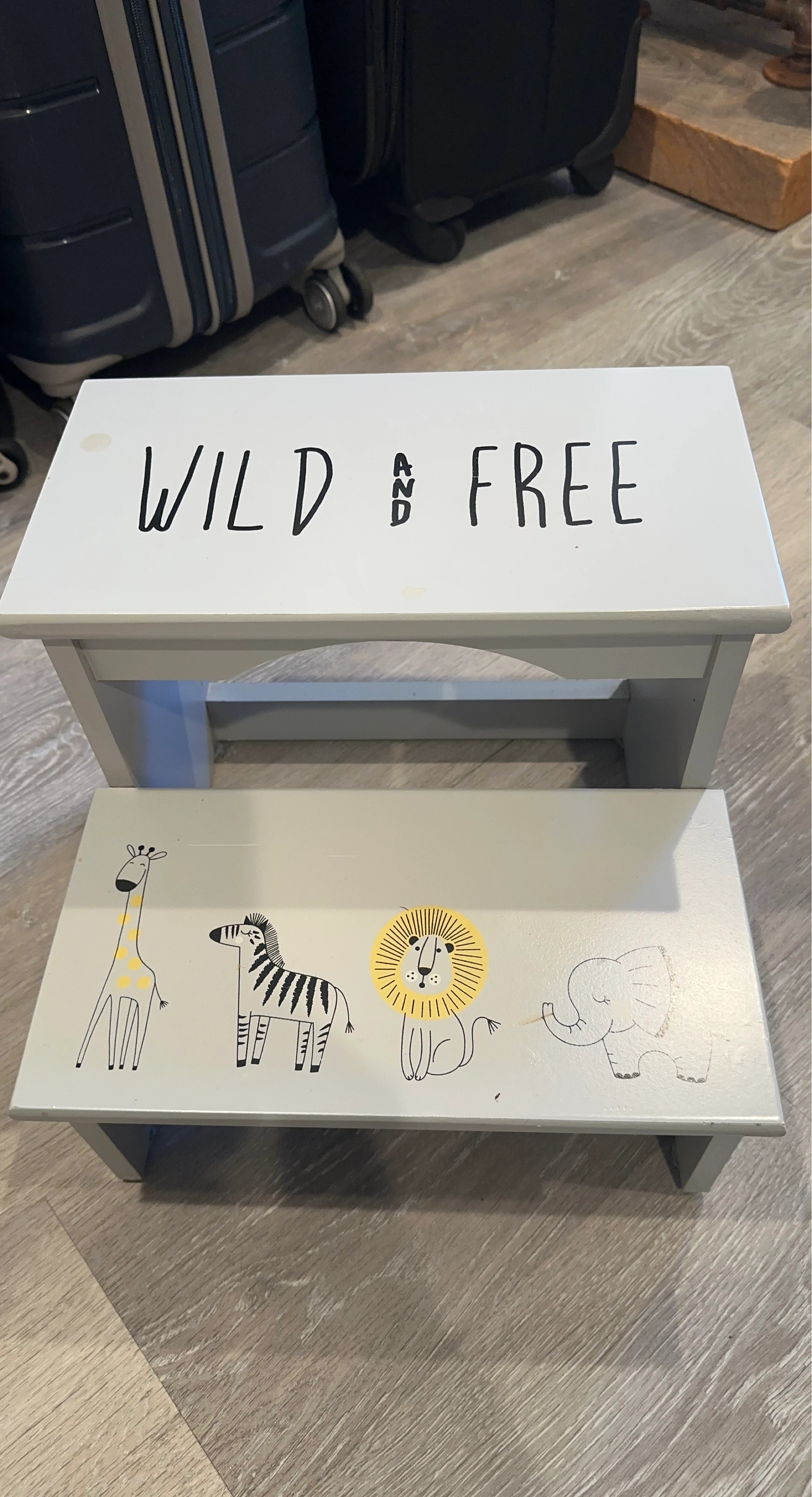 Wild and Free Childrens Two-Step Stool