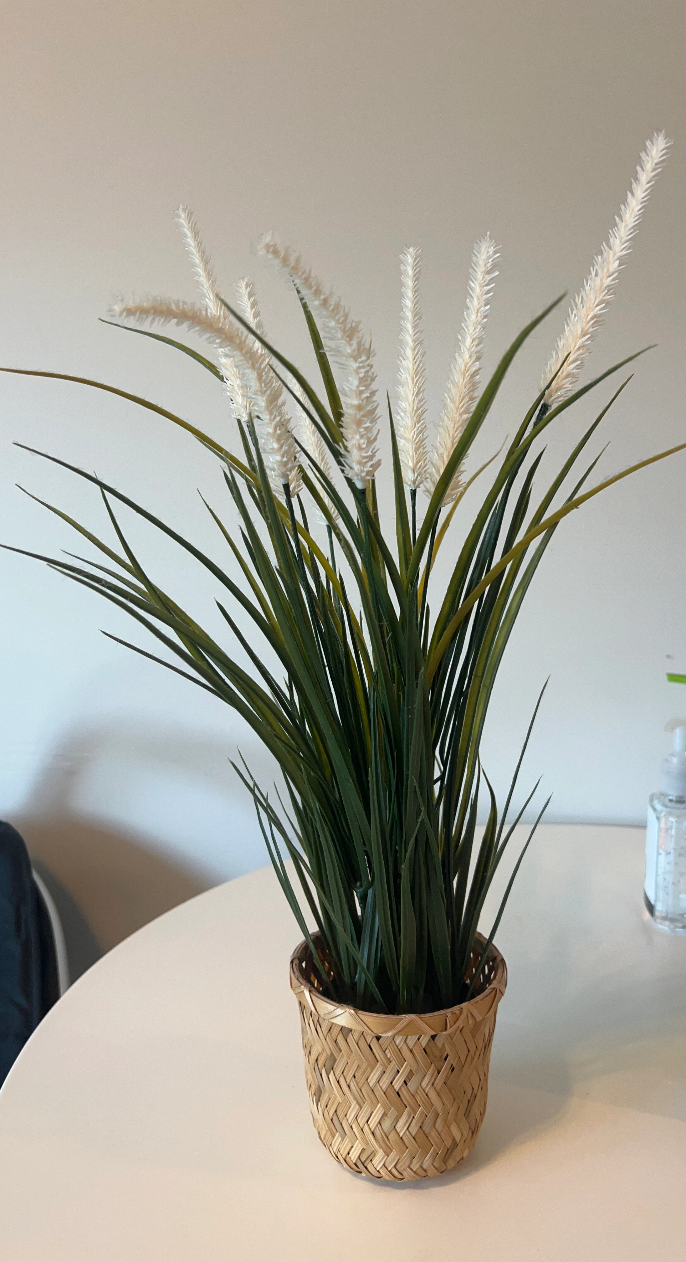 Artificial Grass Plant in Woven Pot