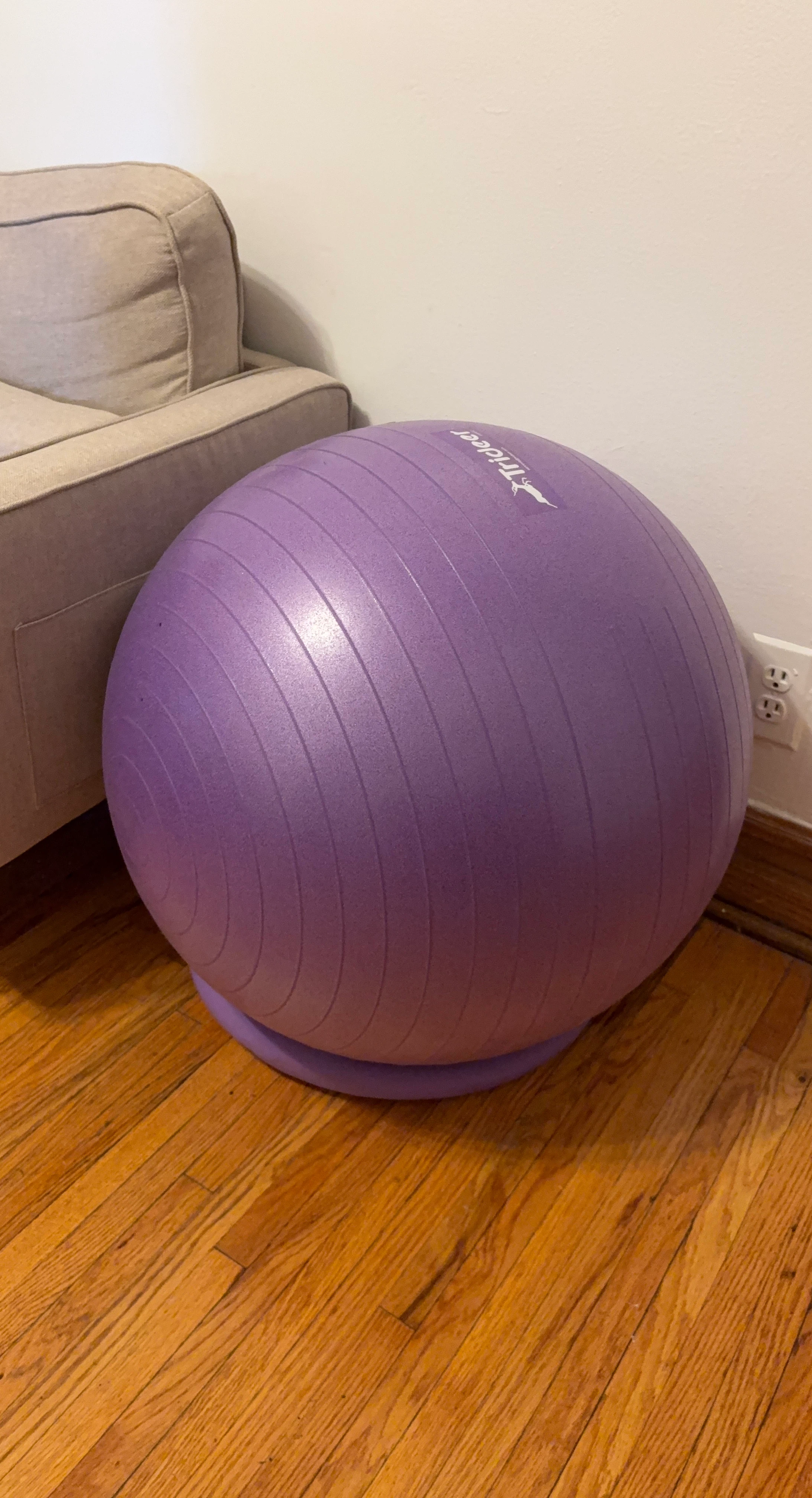 Trideer Exercise Ball