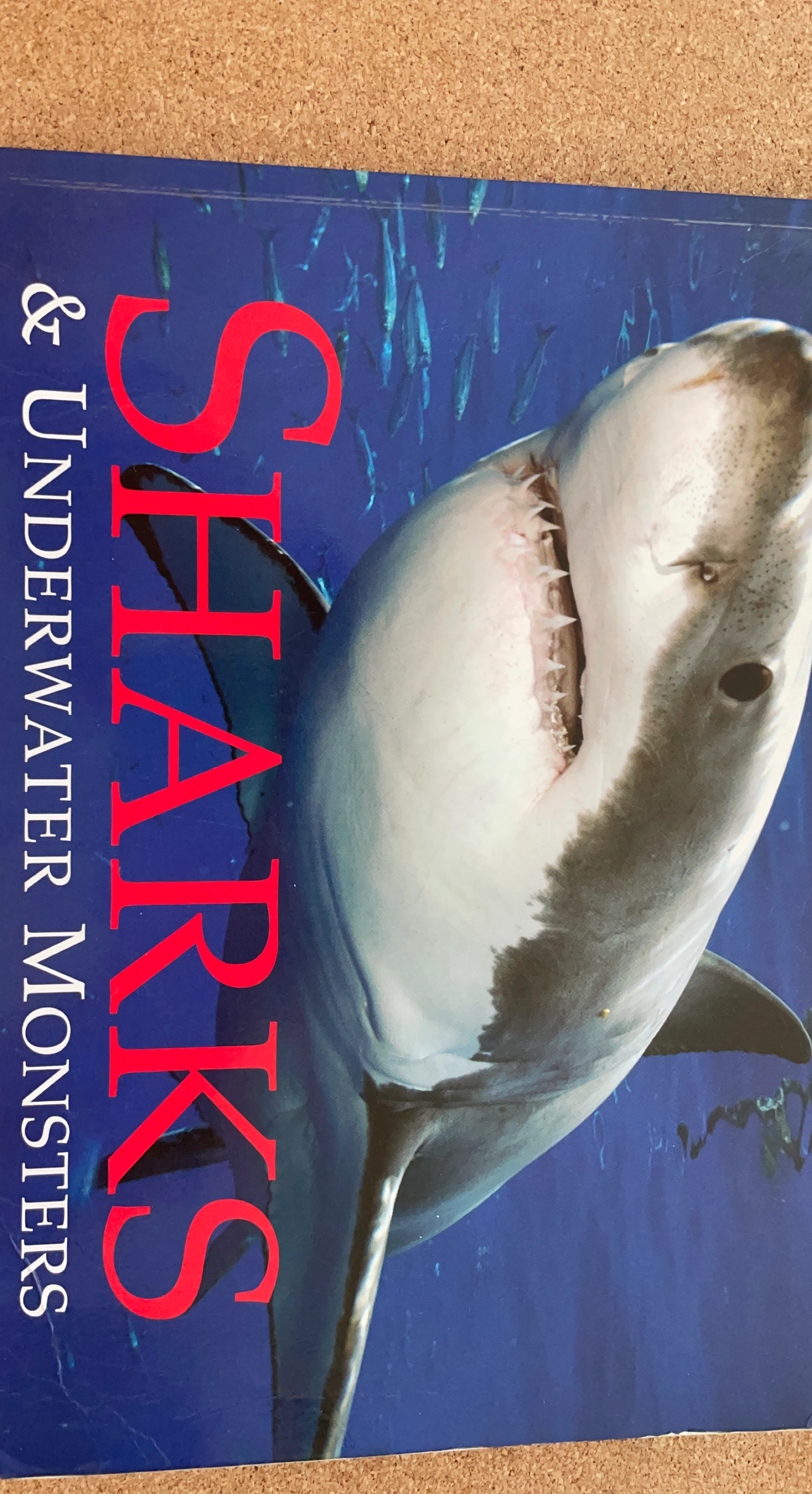 Sharks & Underwater Monsters Book