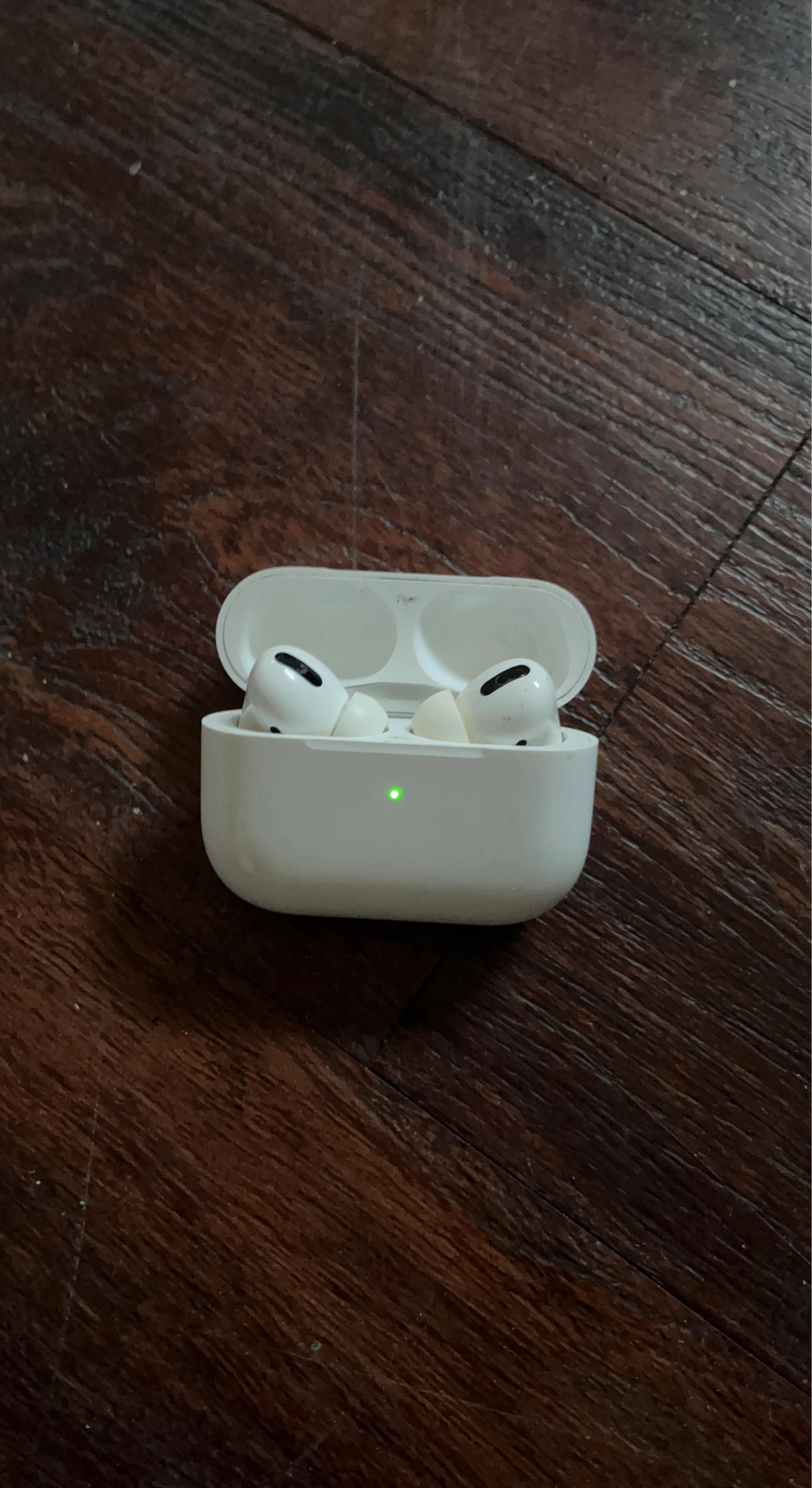 Apple AirPods Pro (1st Generation)