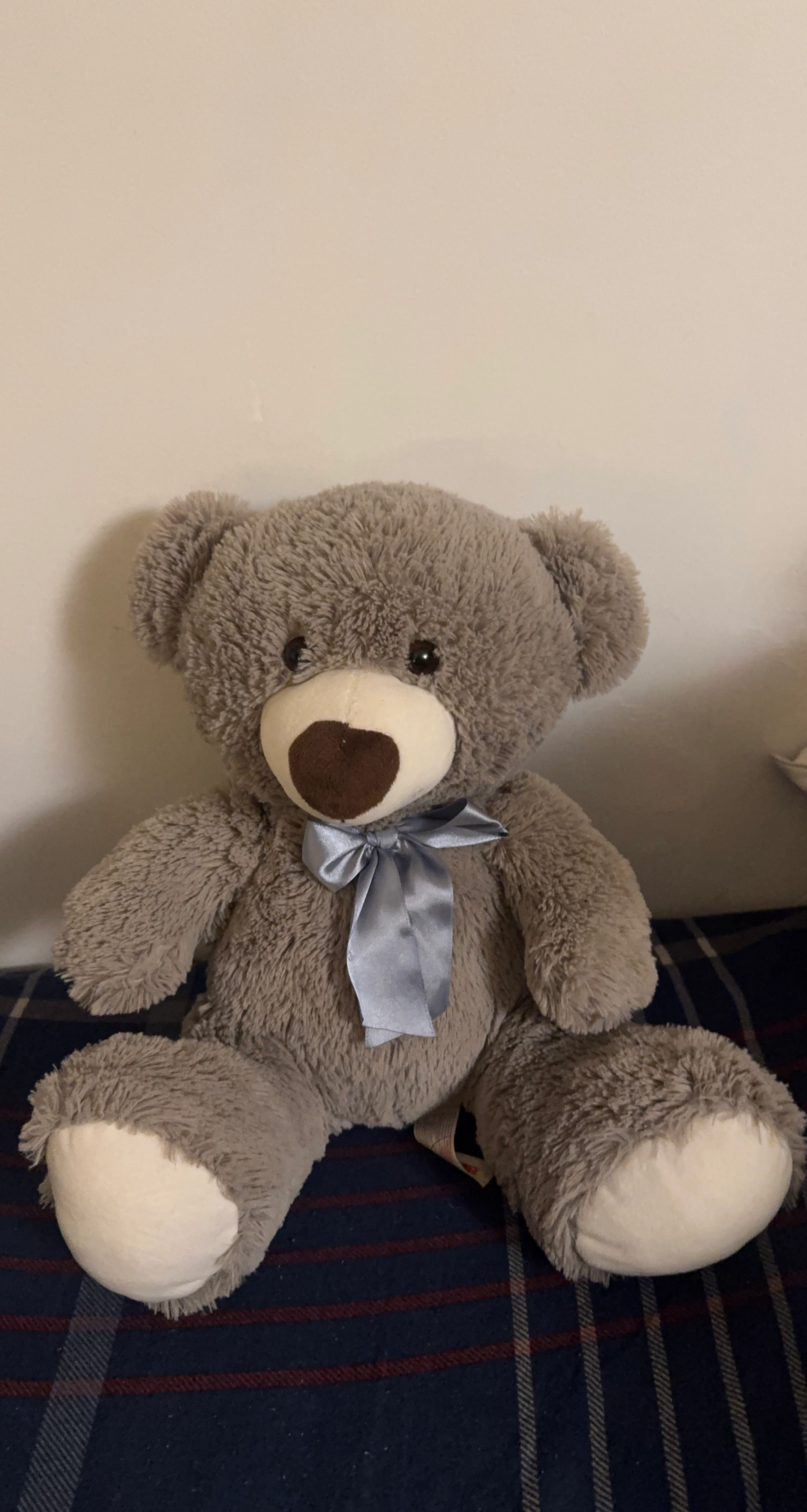 Grey Teddy Bear with Blue Ribbon