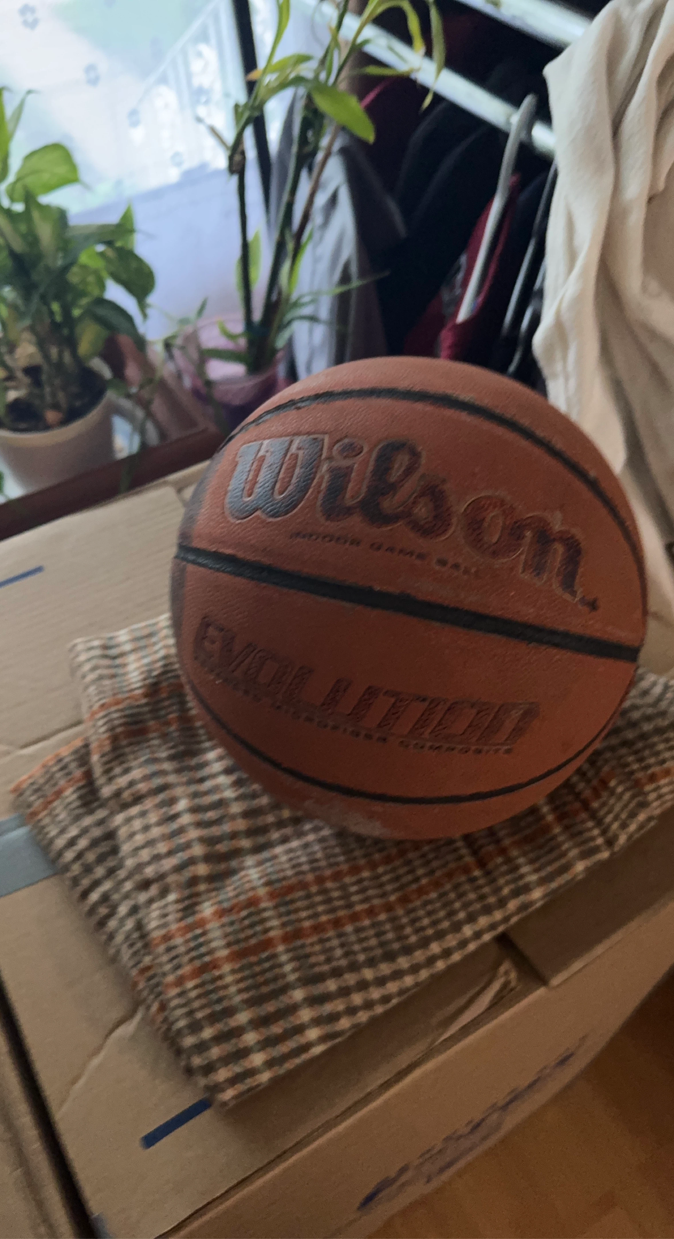 Wilson Evolution Indoor Game Basketball