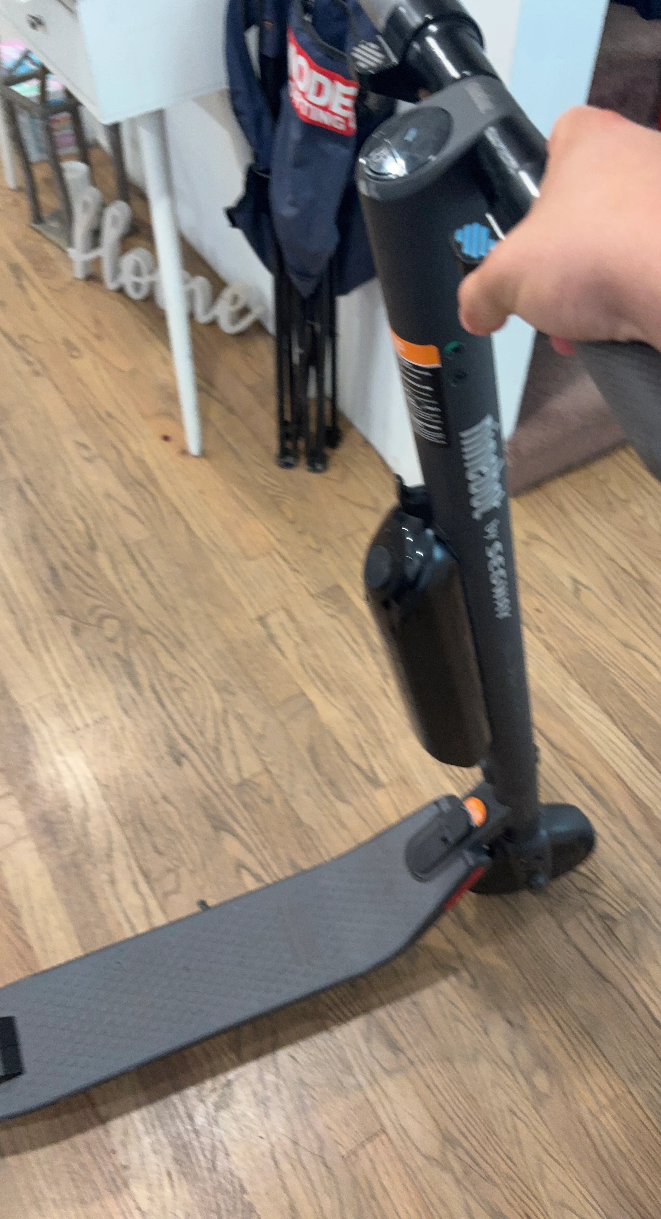 Segway Ninebot E25 Electric Scooter