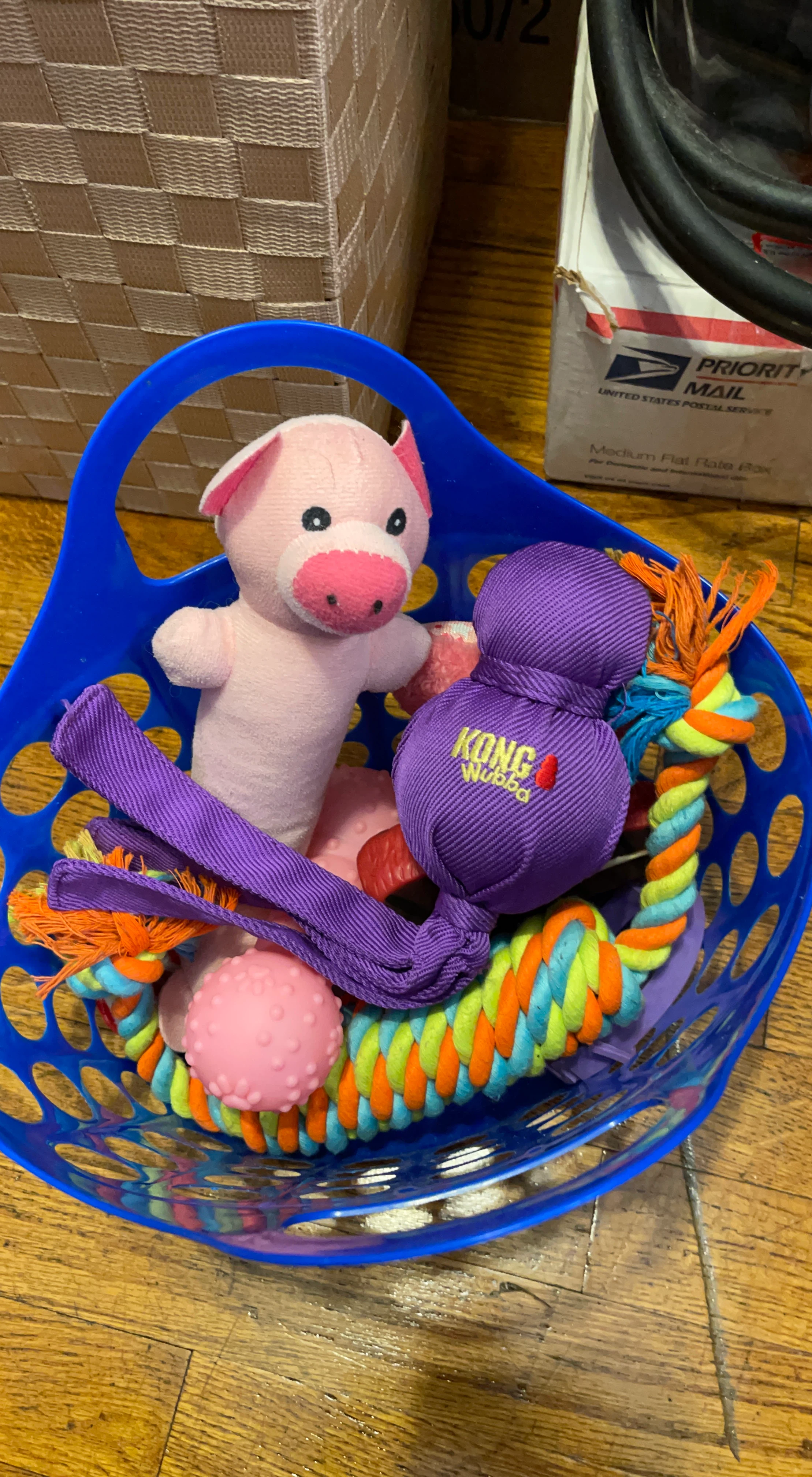 Kong Wubba Dog Toys Bundle
