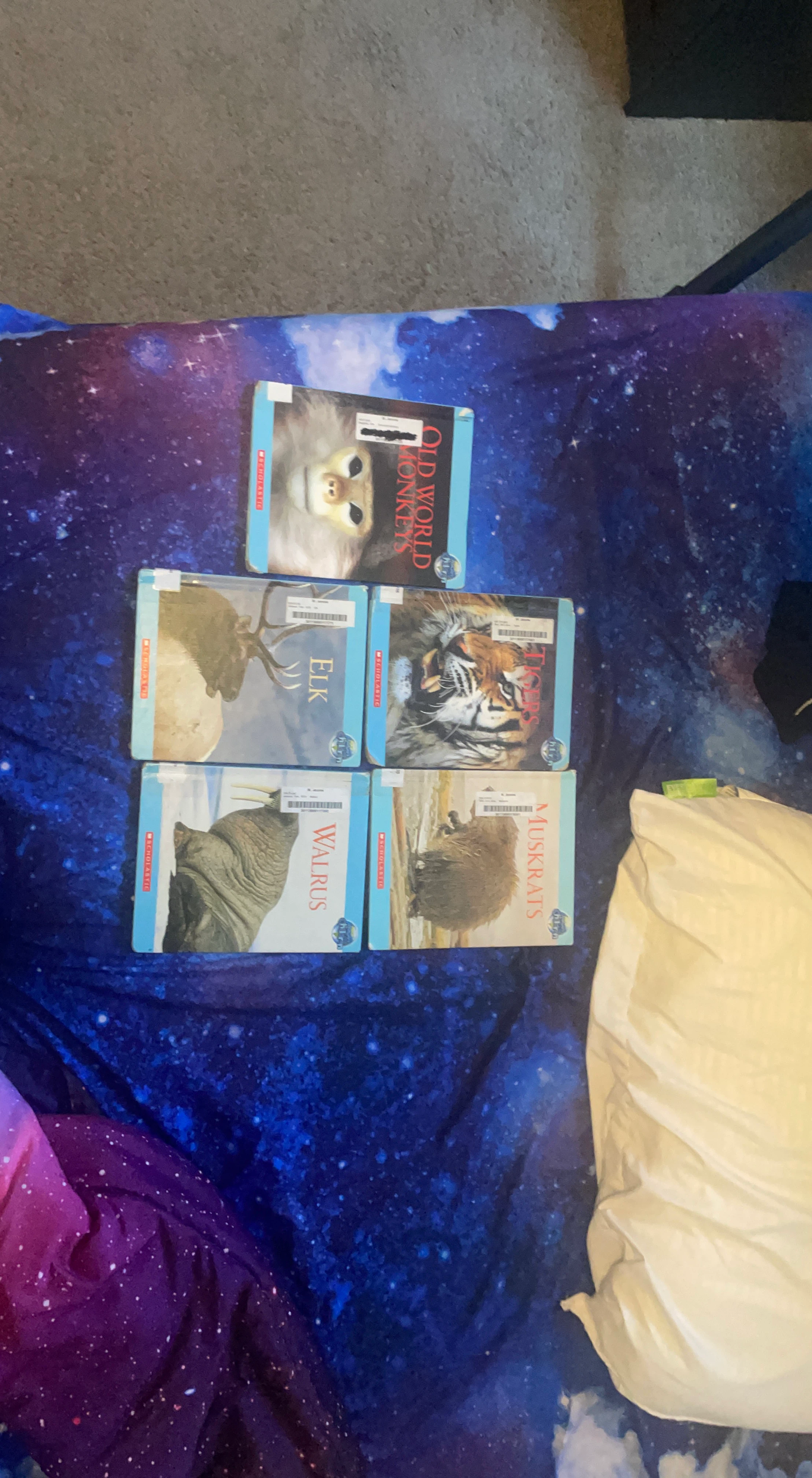 Scholastic Nature's Children Books - 5 Books