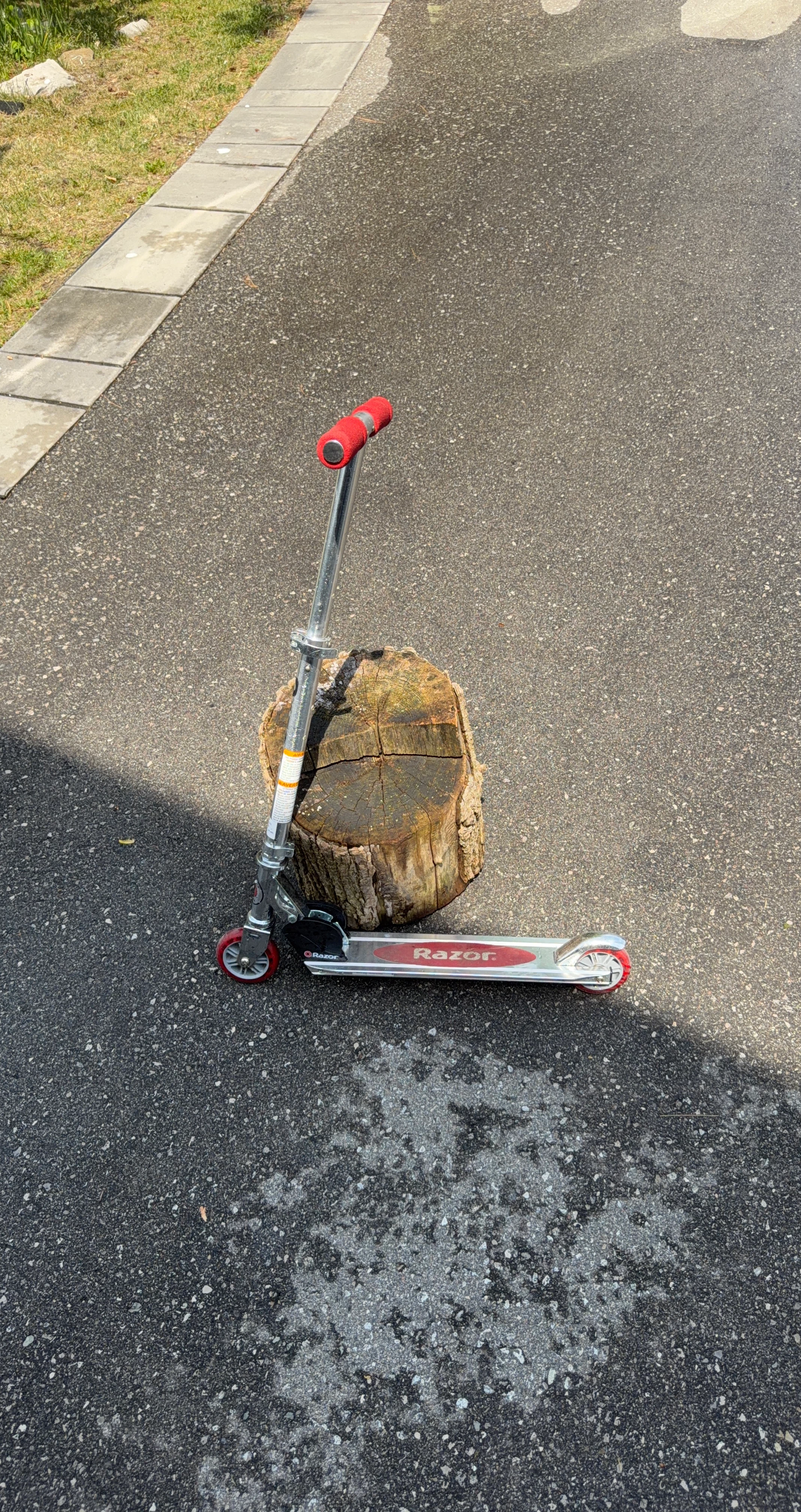 Razor Scooter
