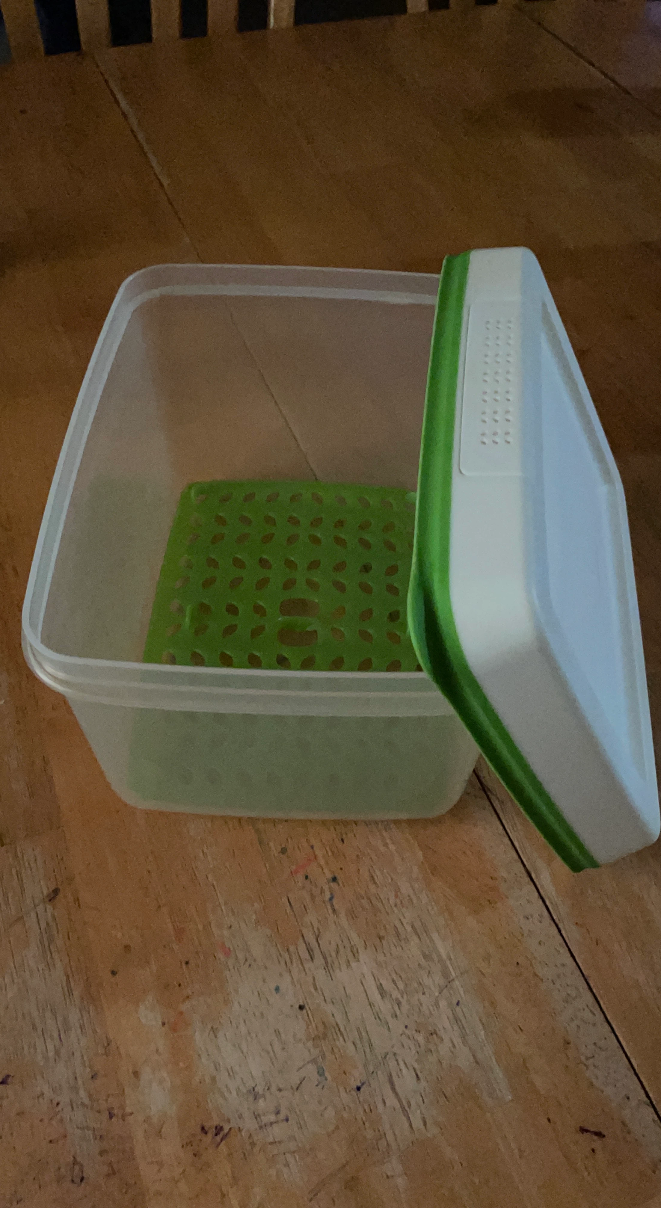 Rubbermaid Food Storage Container