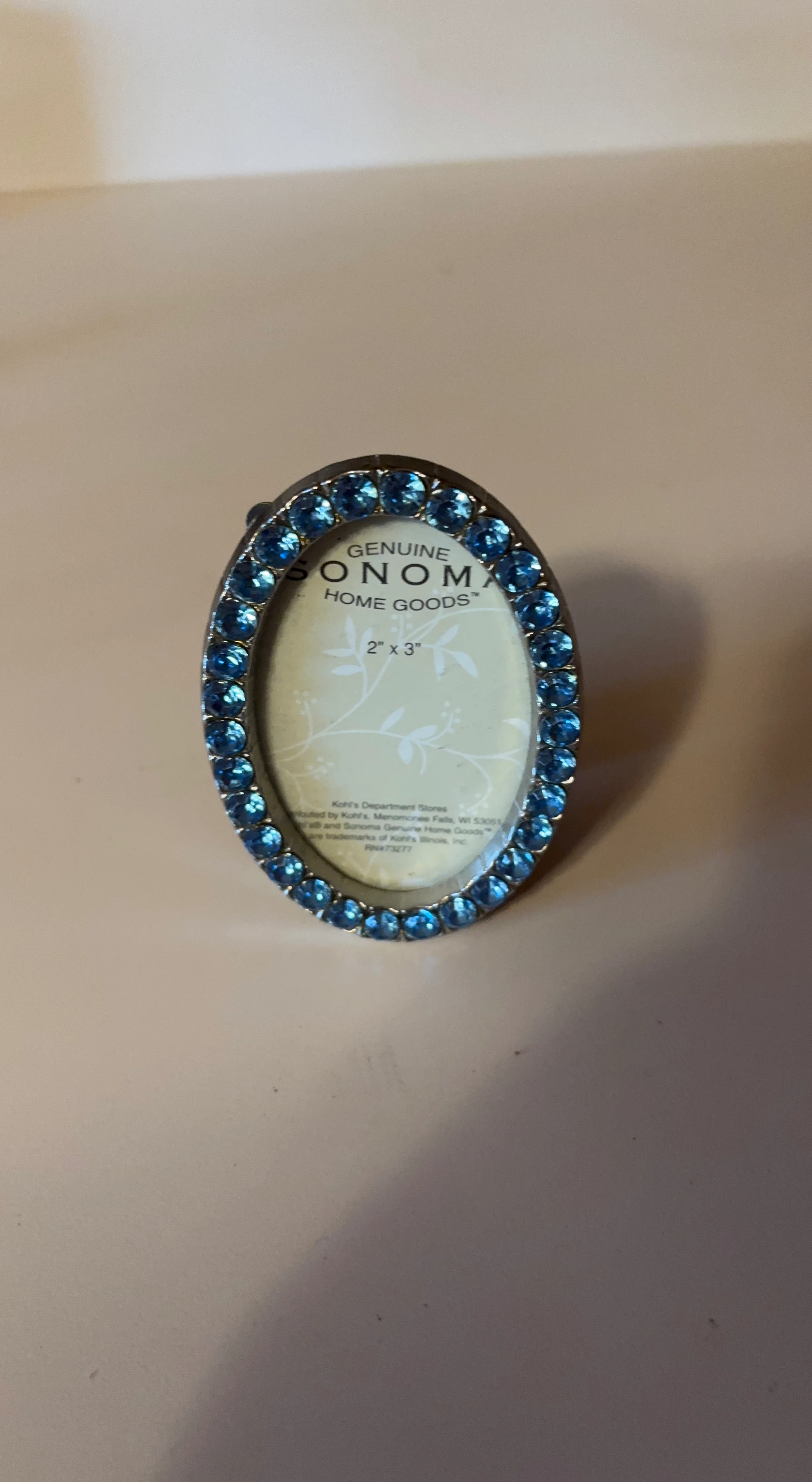 Sonoma Home Goods Oval Picture Frame