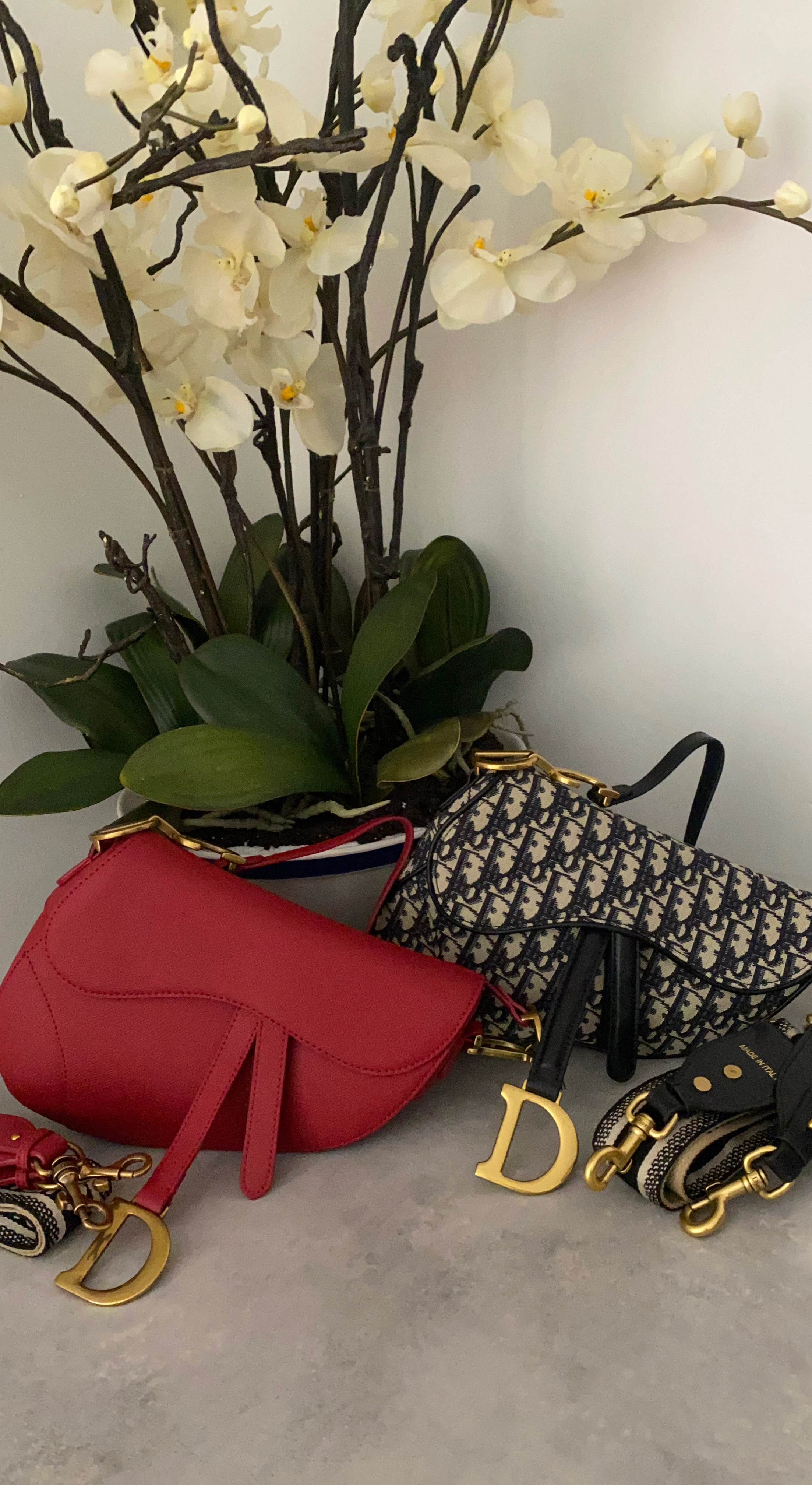 Dior Saddle Bags (Red & Oblique Canvas)