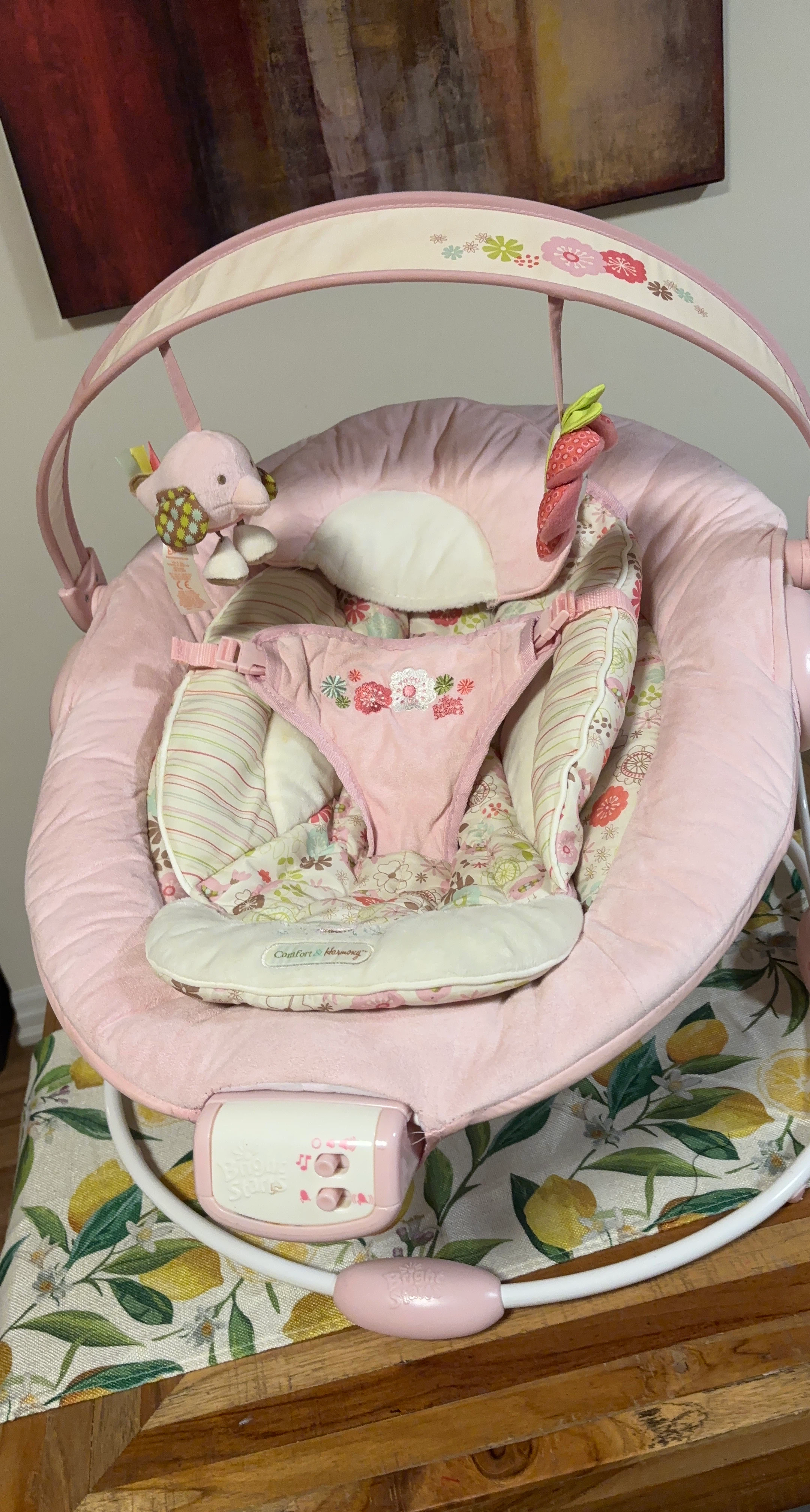 Bright Starts Comfort & Harmony Baby Bouncer