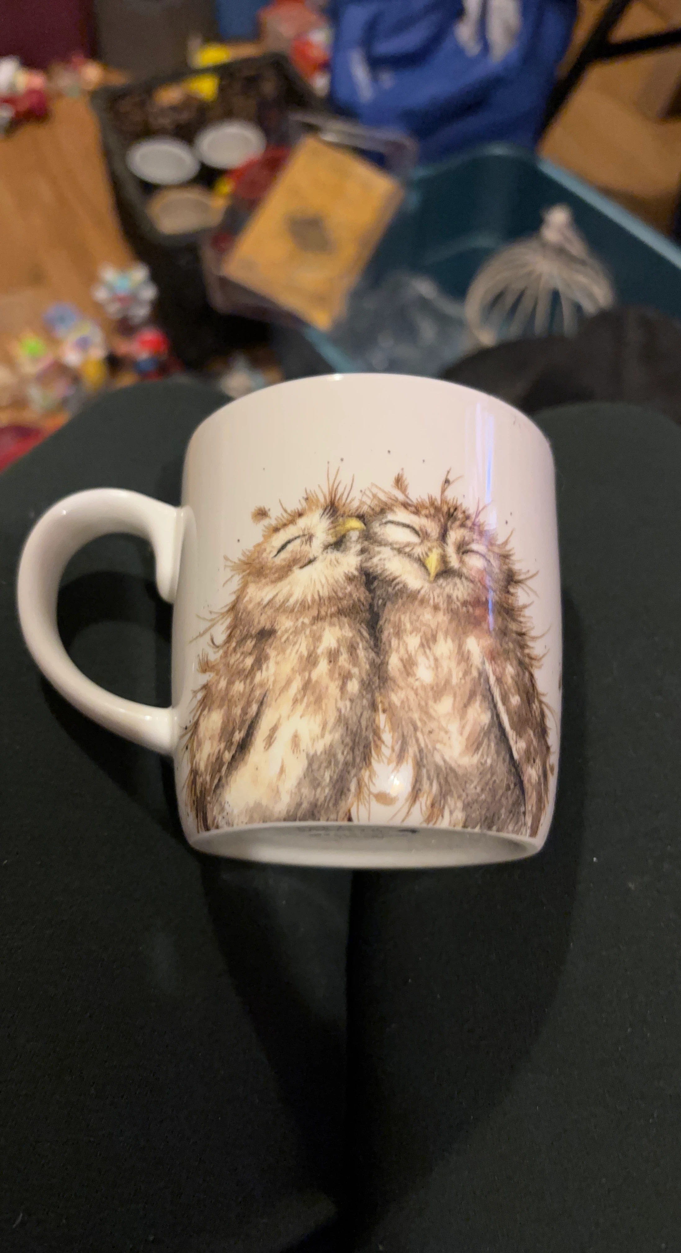 Cute Owl Mug