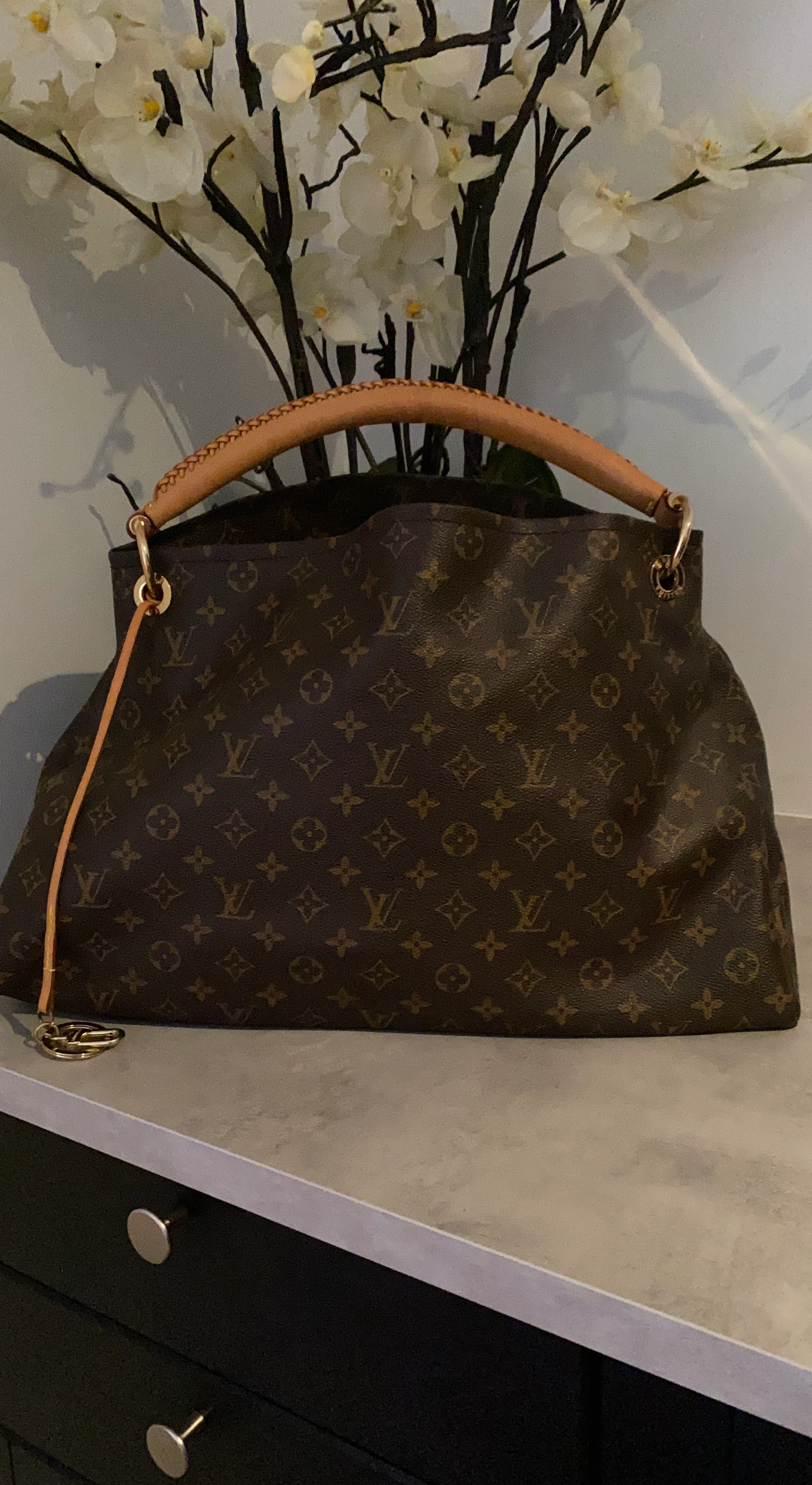 Louis Vuitton Monogram Speedy Bag