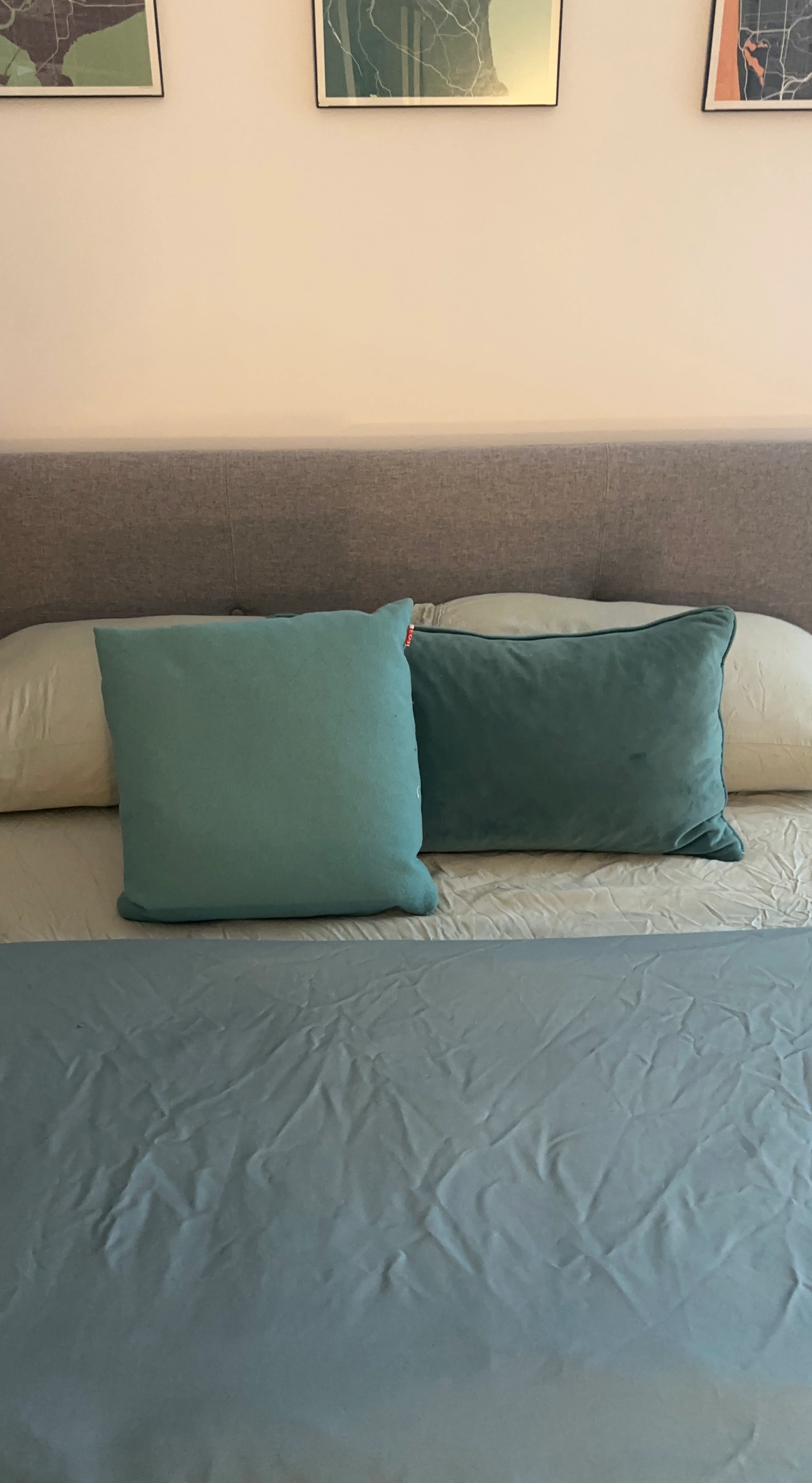 Two Decorative Pillows