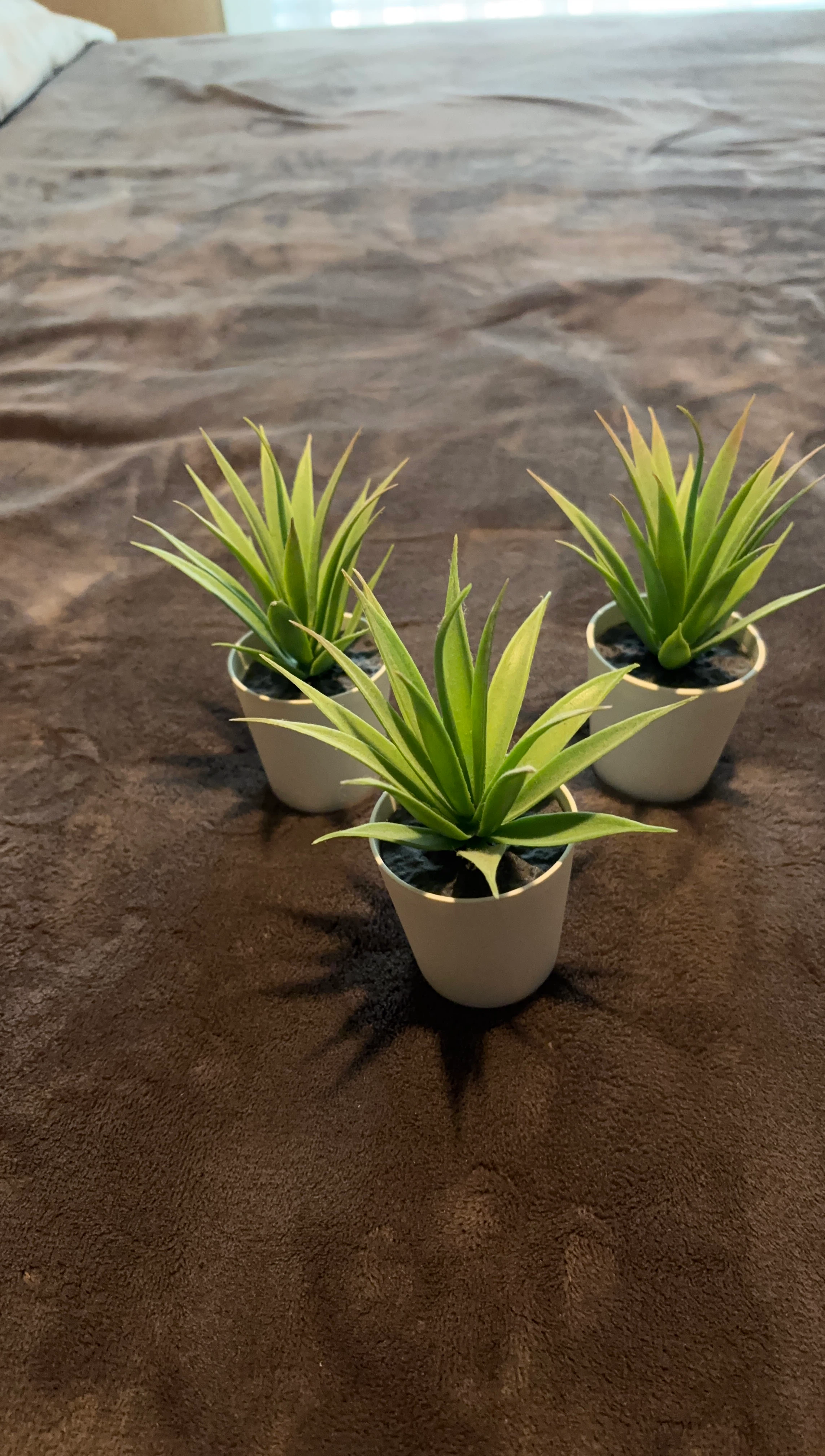 Set of 3 Small Artificial Succulent Plants