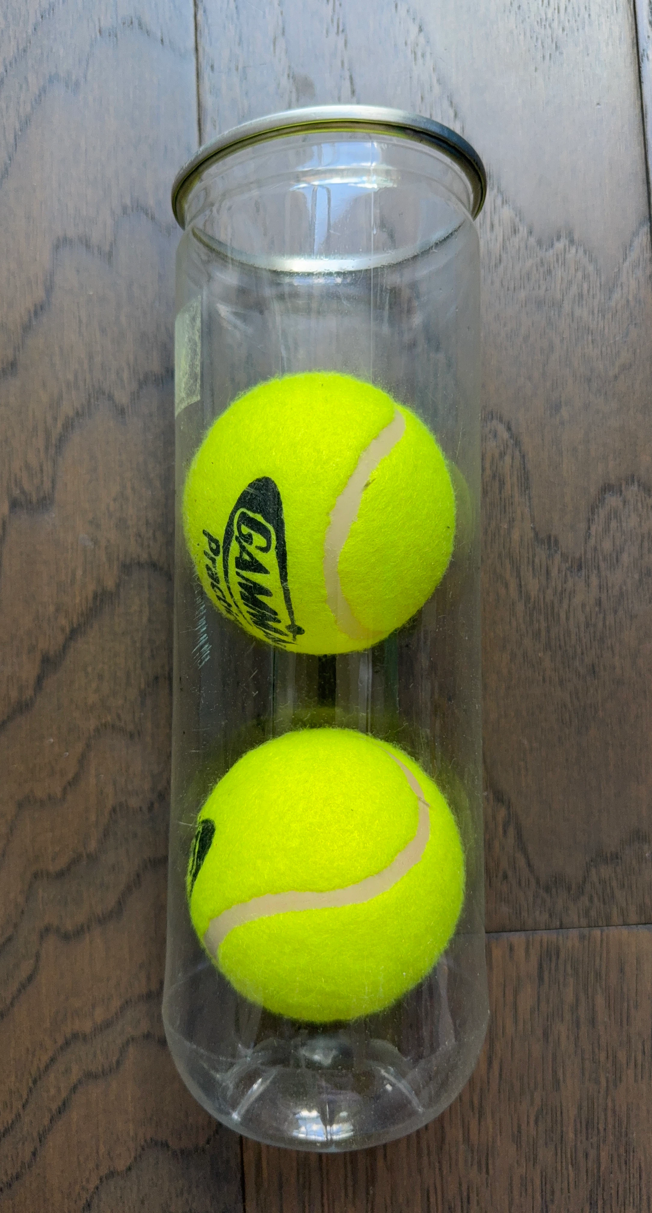 GAMMA Pro Tennis Balls (2-Pack)
