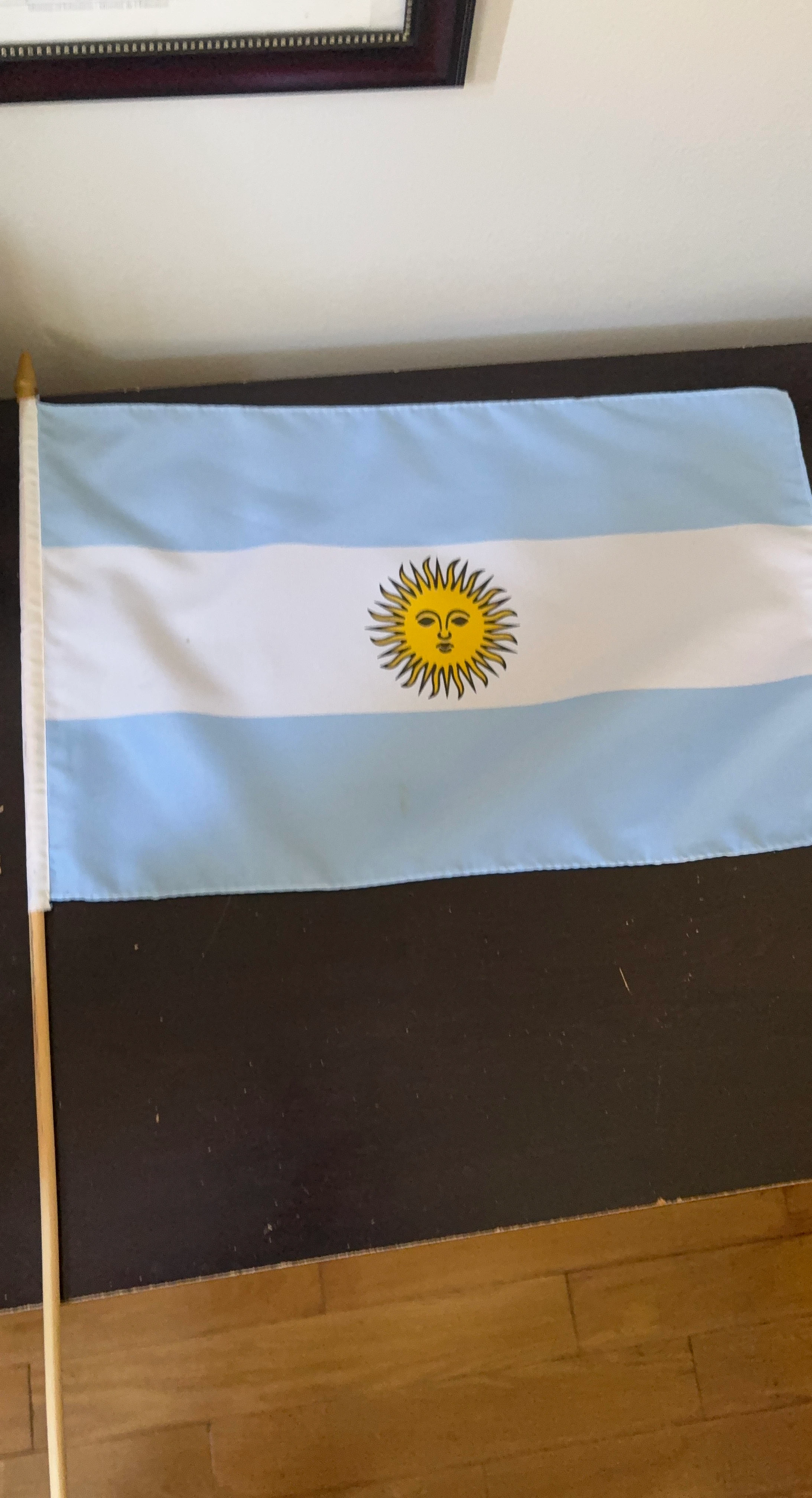 Argentina Flag