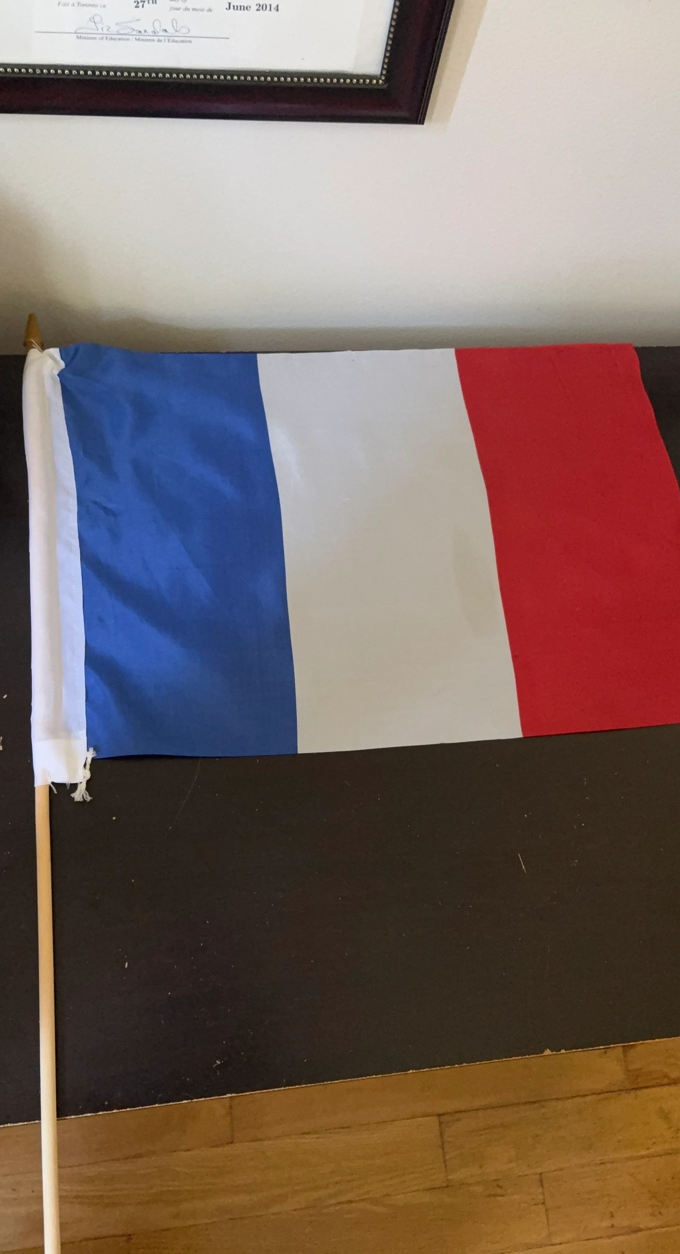 France Flag