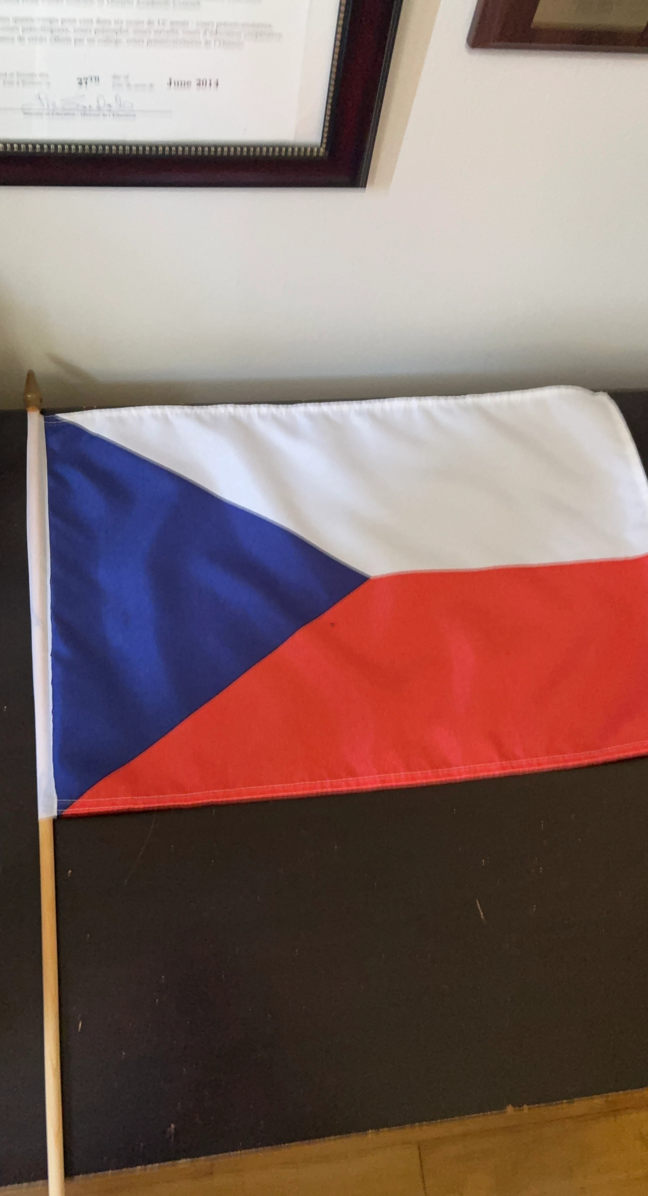 Czechia Flag