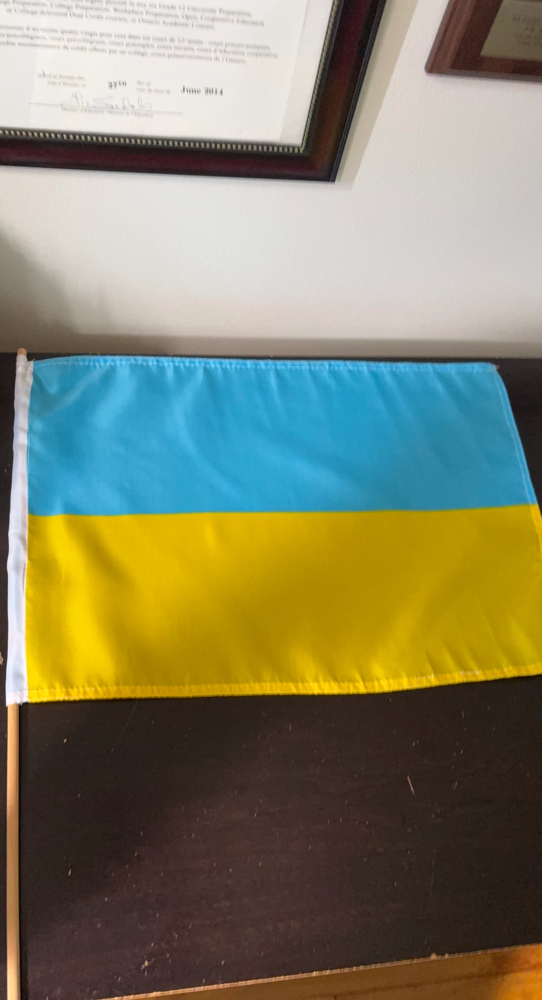 Ukraine Flag