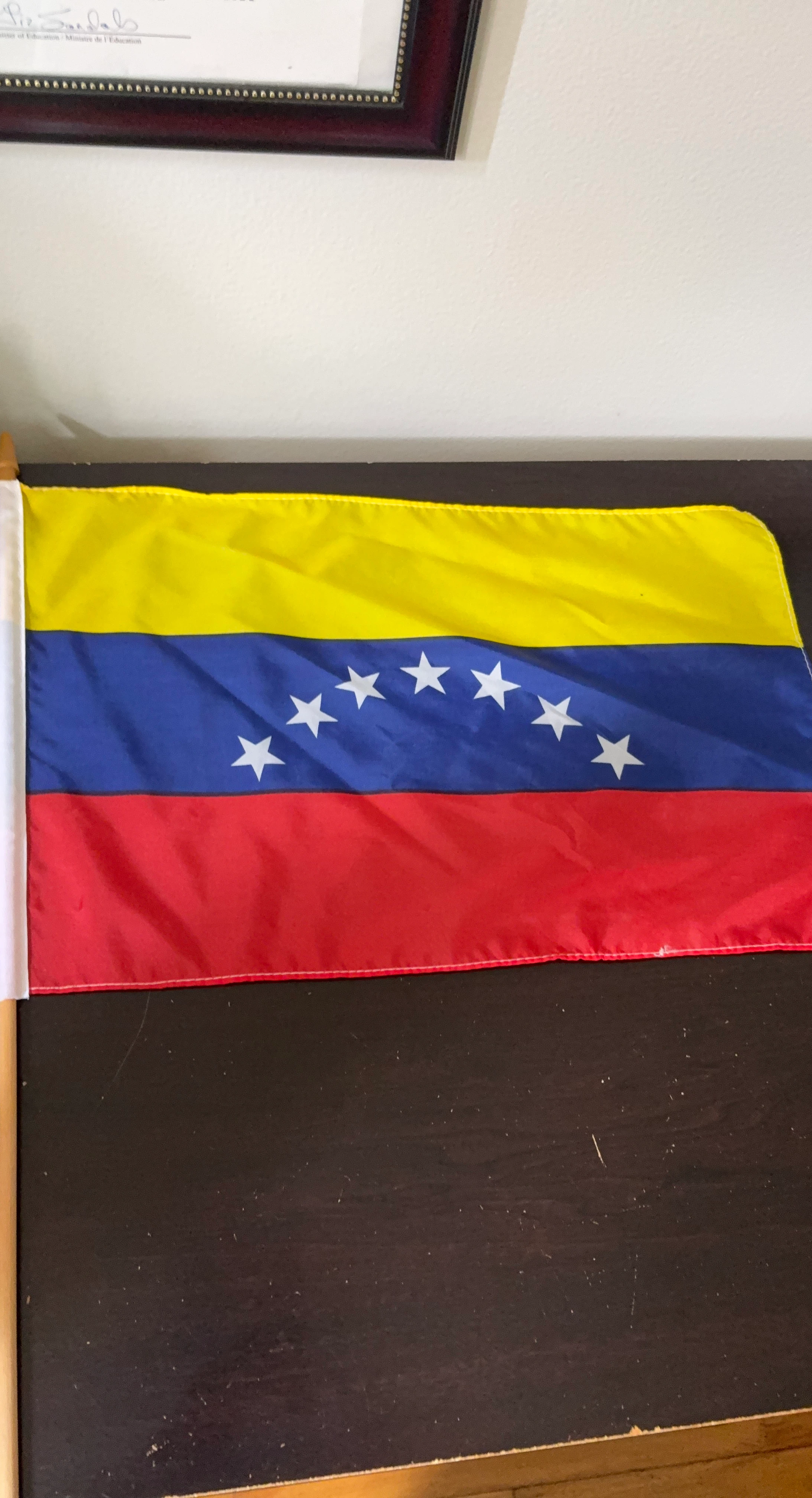 Venezuela flag