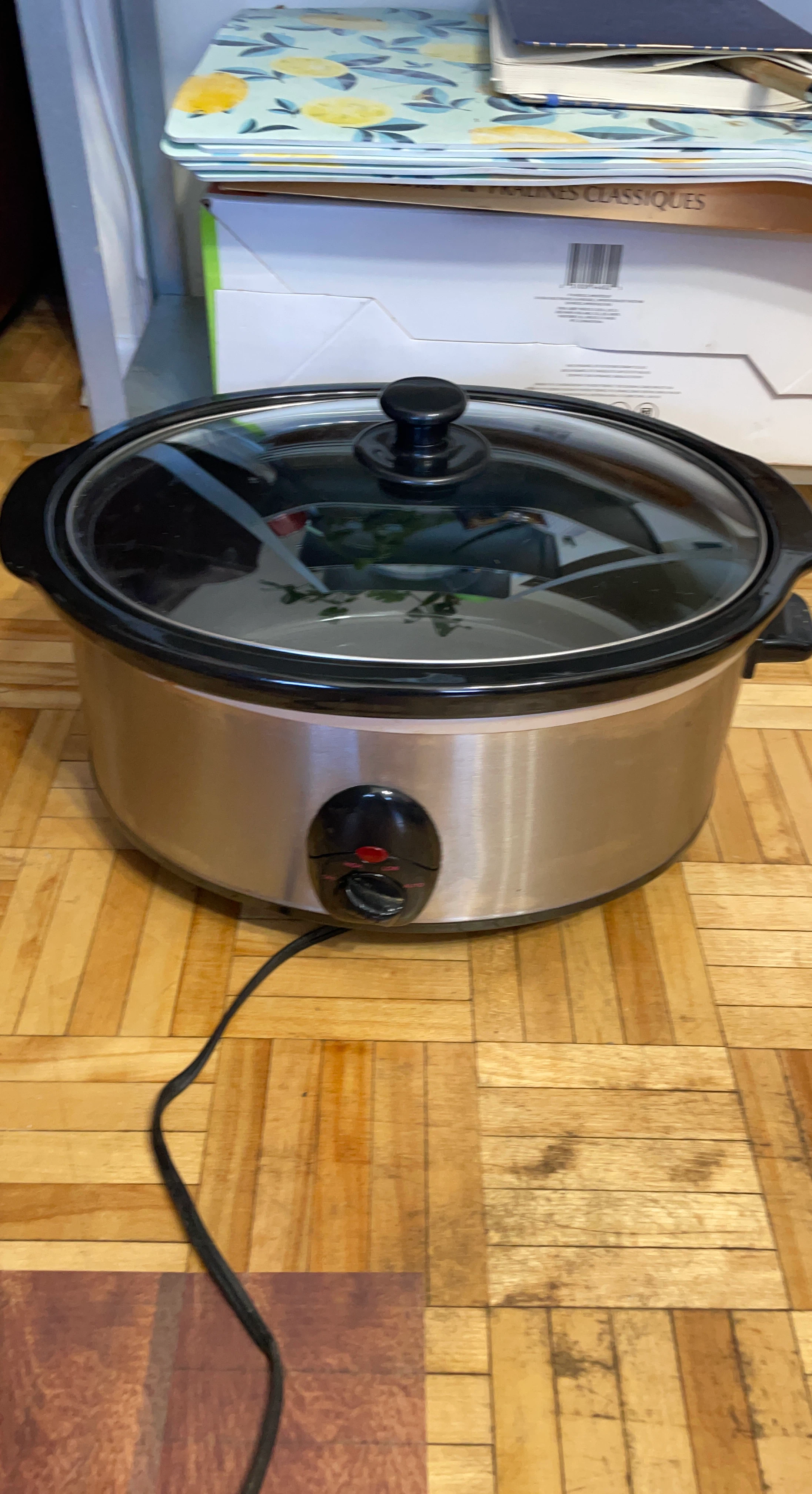 Stainless Steel Slow Cooker