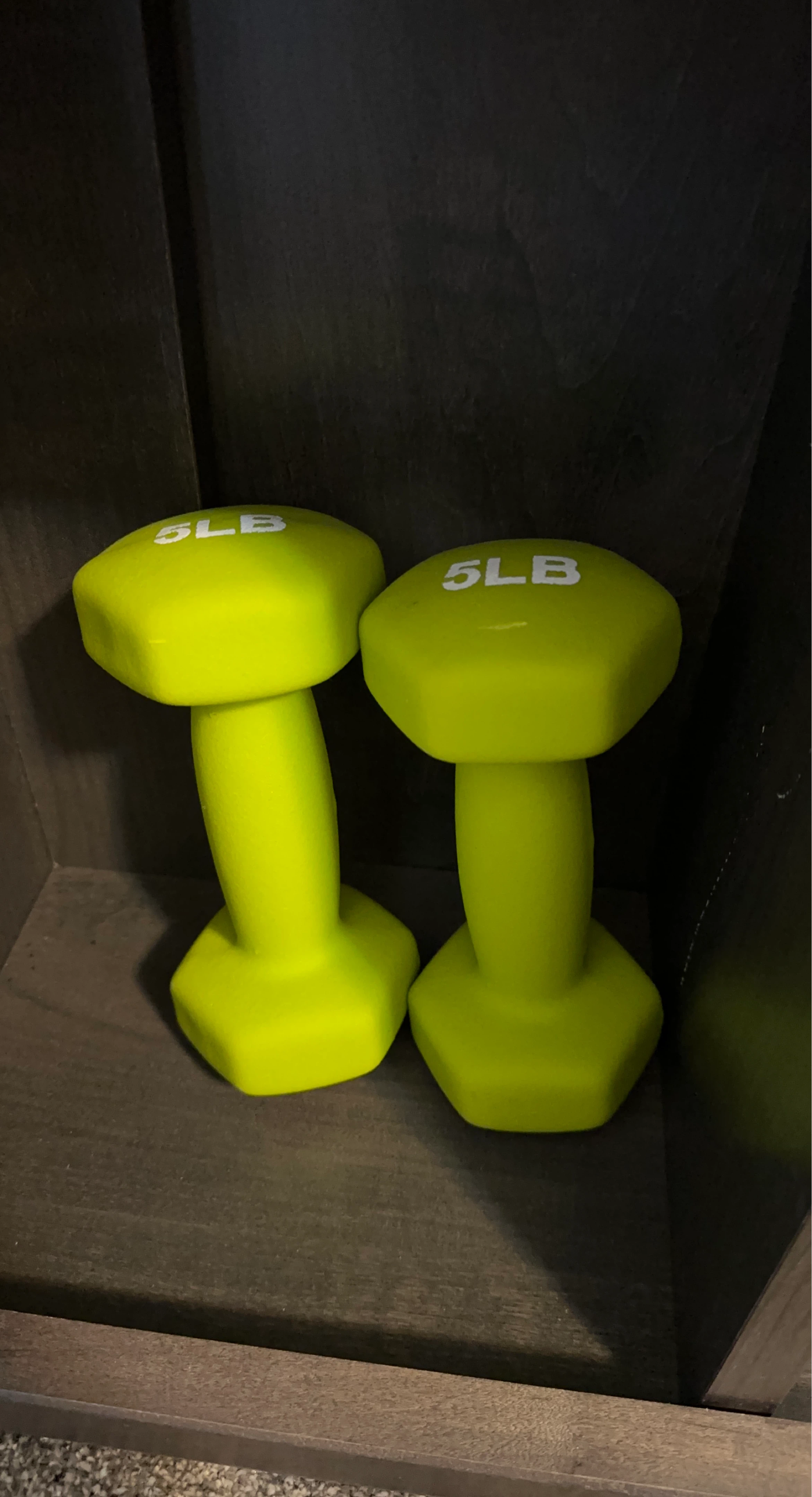 Pair of 5LB Dumbbells