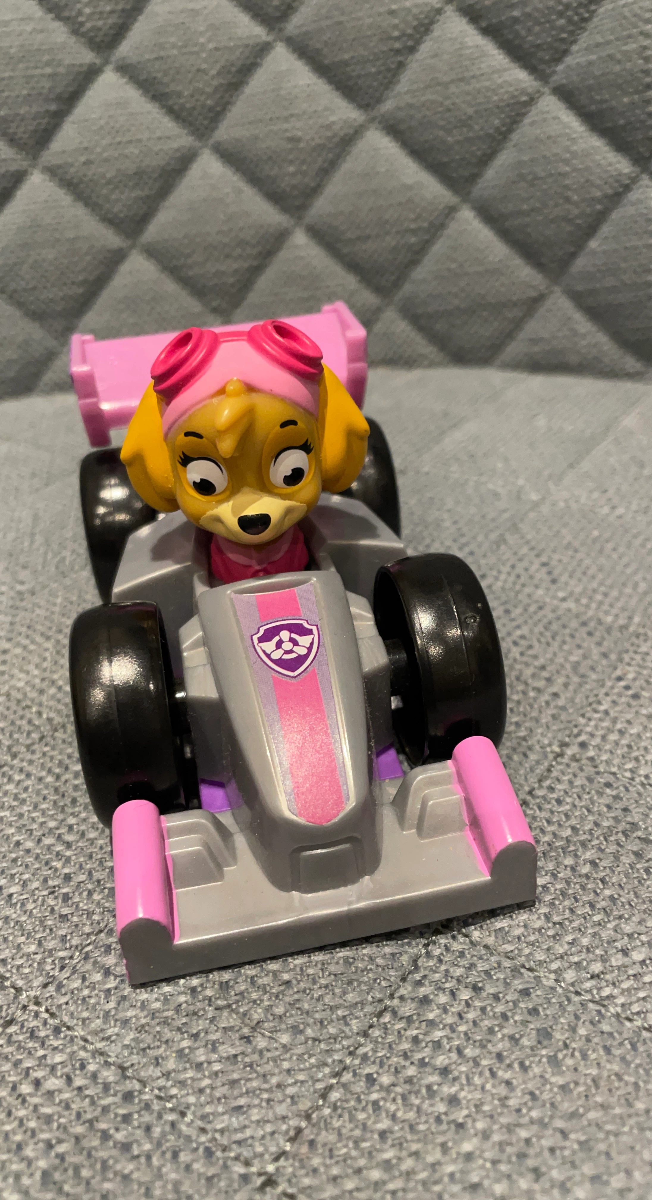 Paw Patrol Skye Race Car Toy