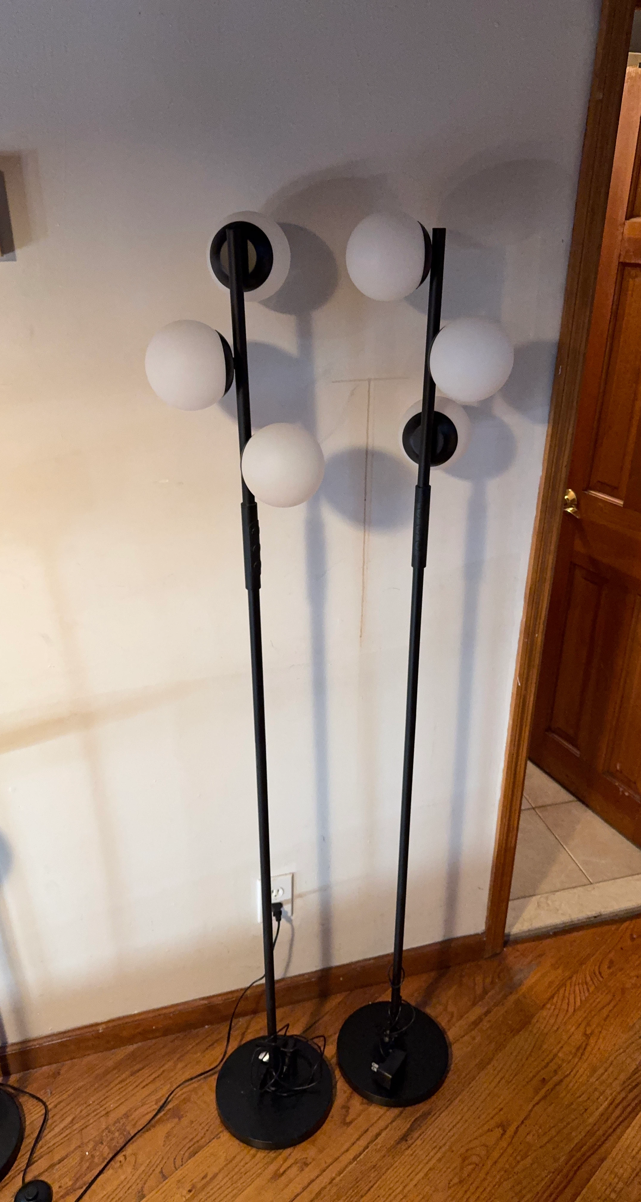 Two Black Floor Lamp with Globe Shades