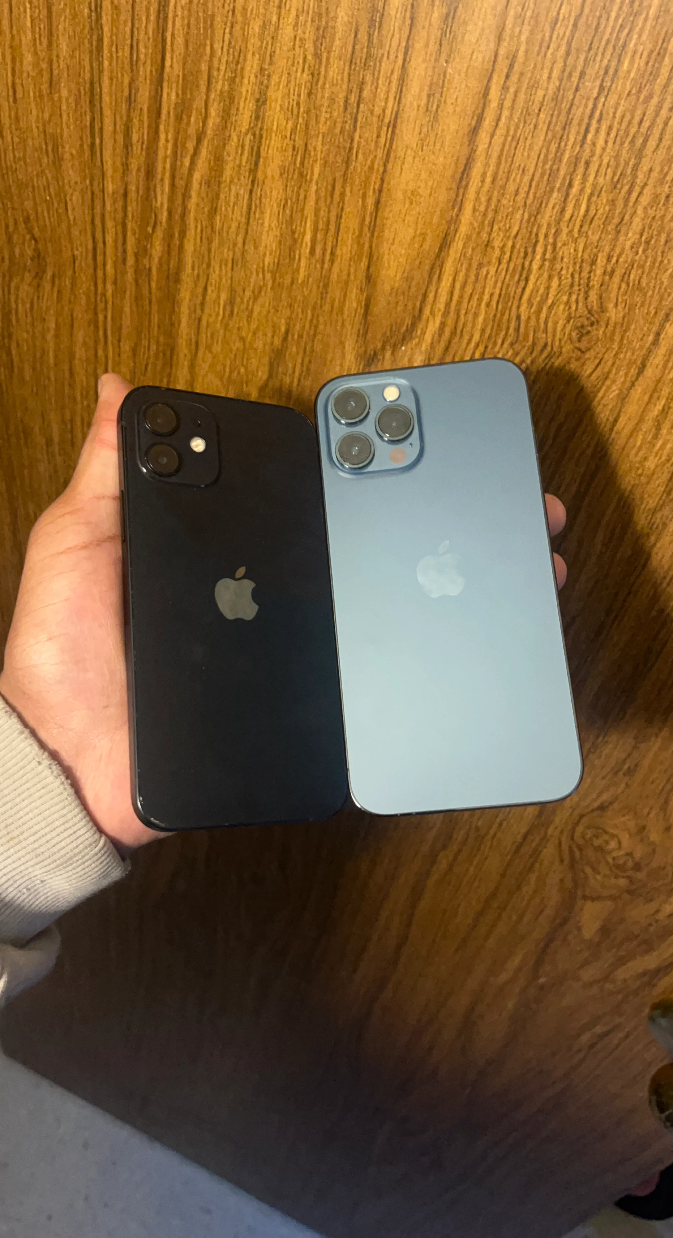 Apple iPhone 12 & 13 Pro