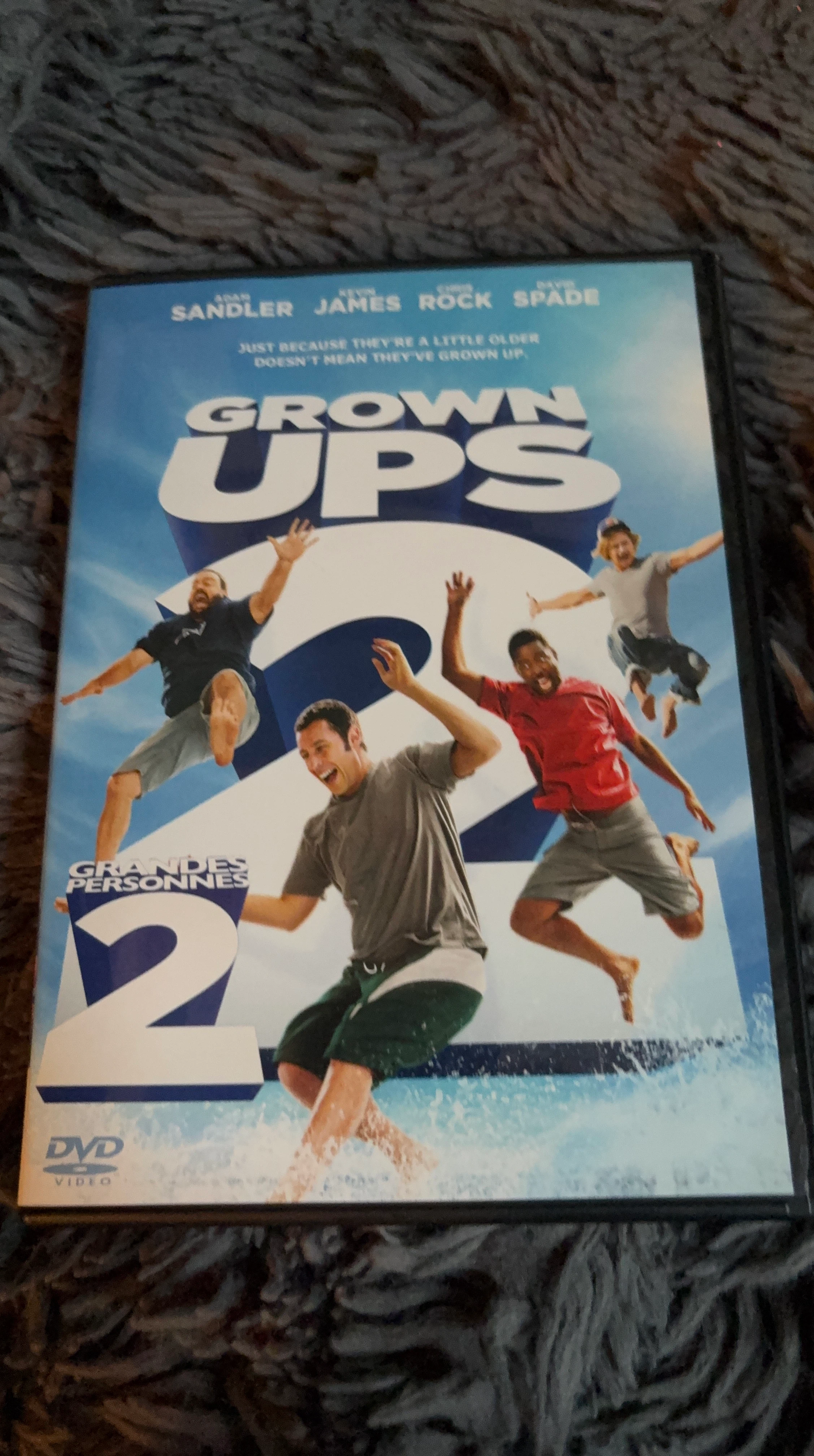Grown Ups 2 DVD