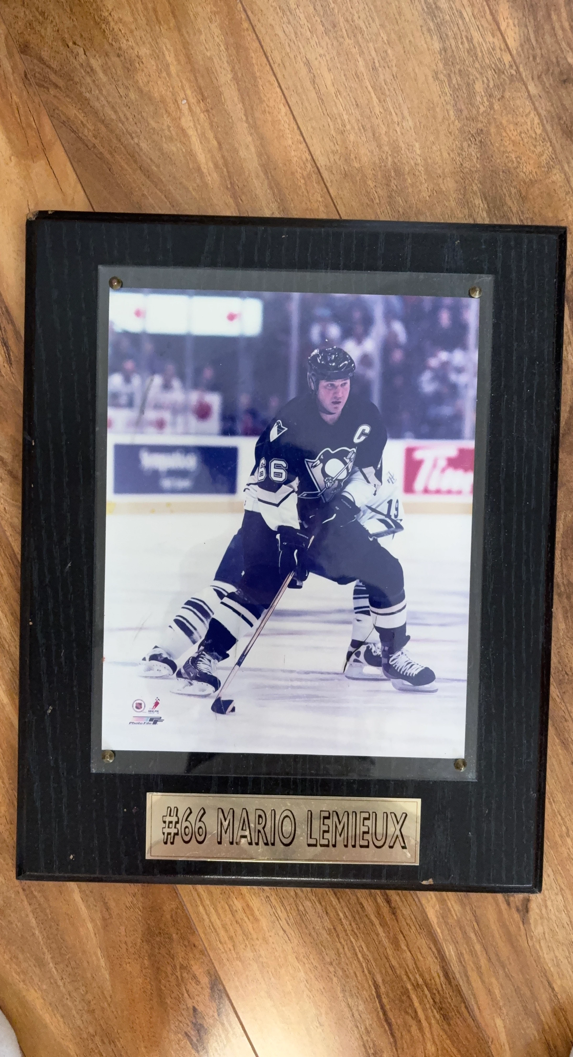 Framed Mario Lemieux #66 Hockey Photo