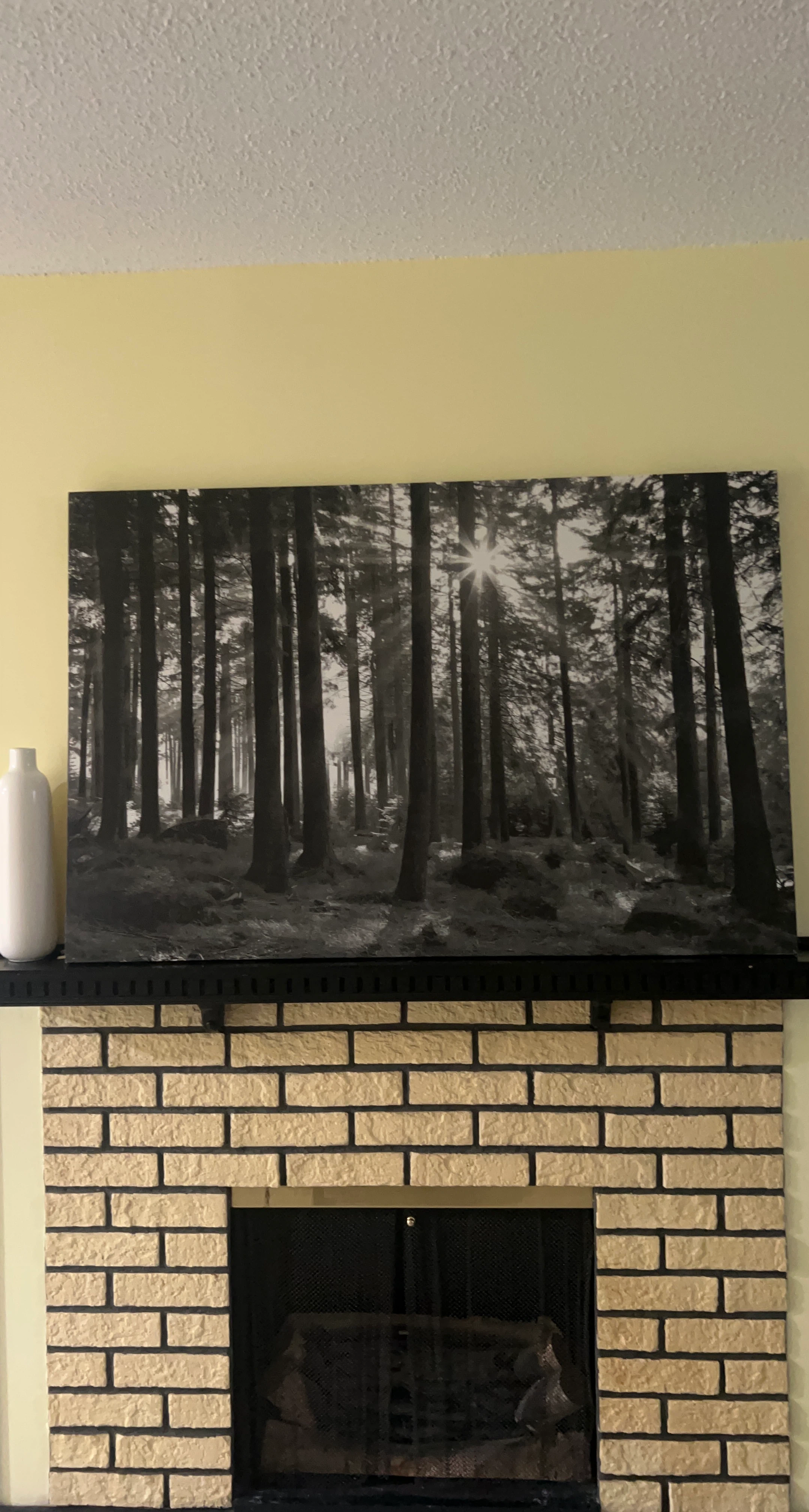 Black and White Forest Wall Art