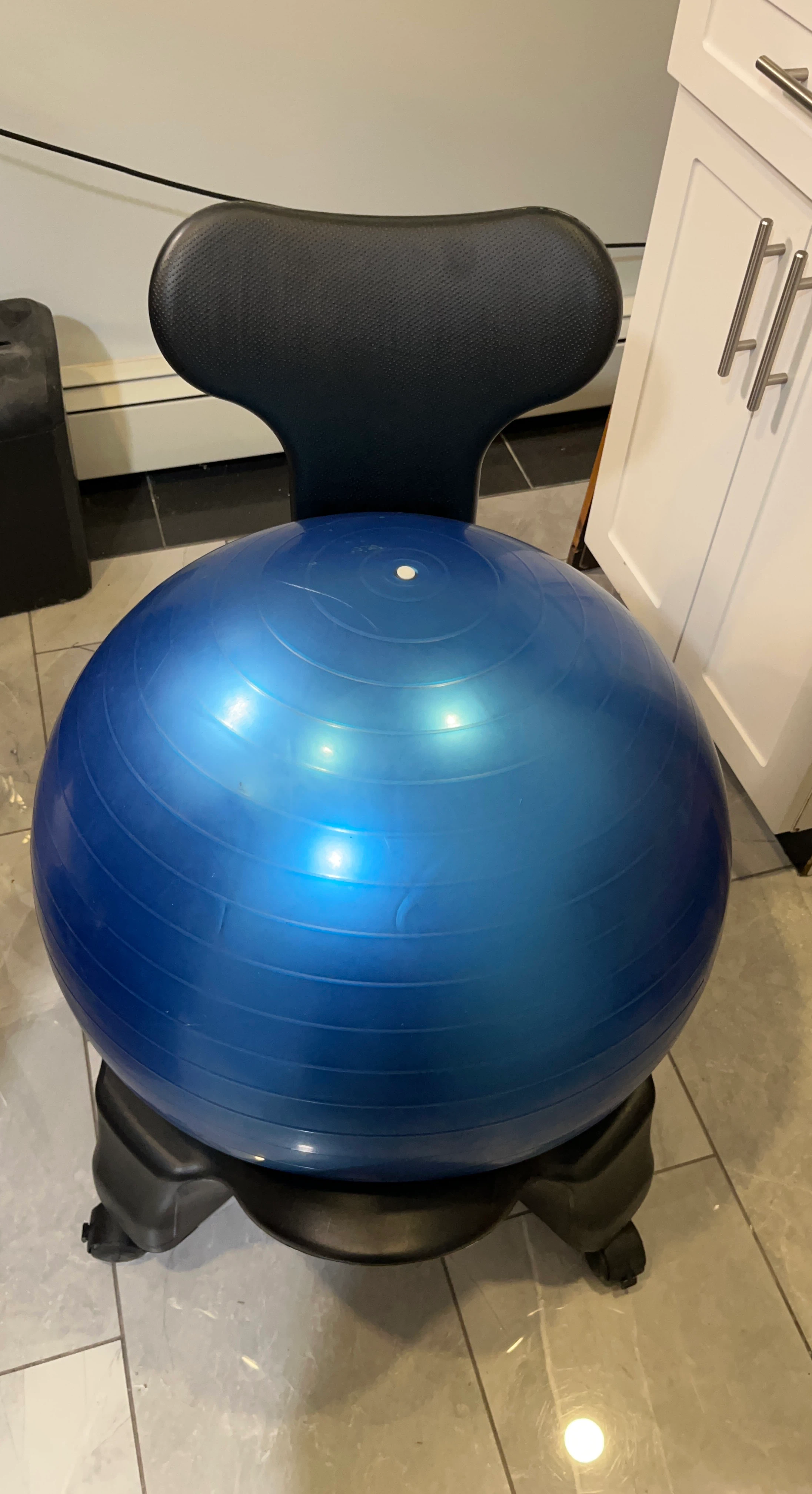 Blue Stability Ball Chair