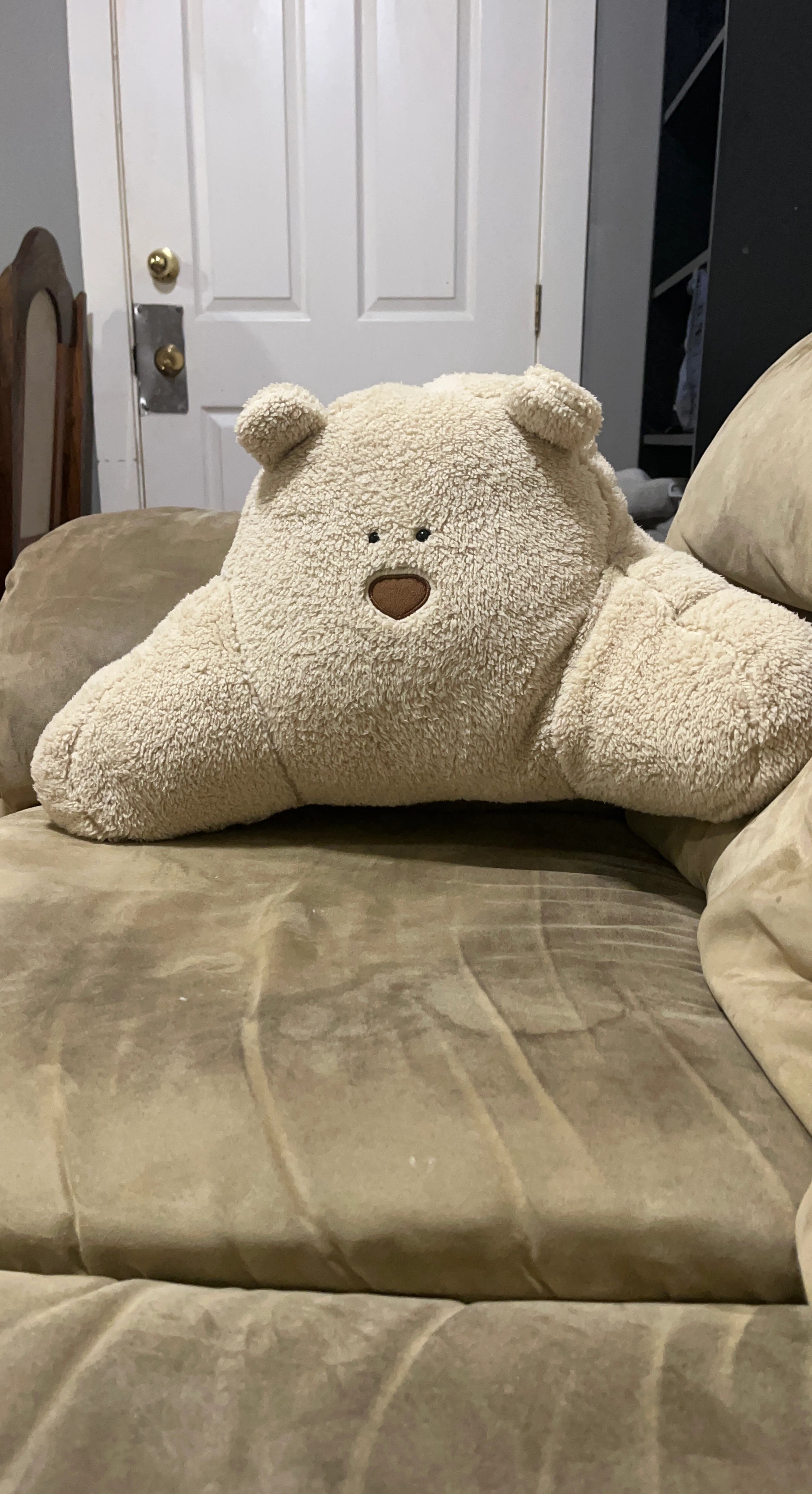 Cream Teddy Bear Reading Pillow
