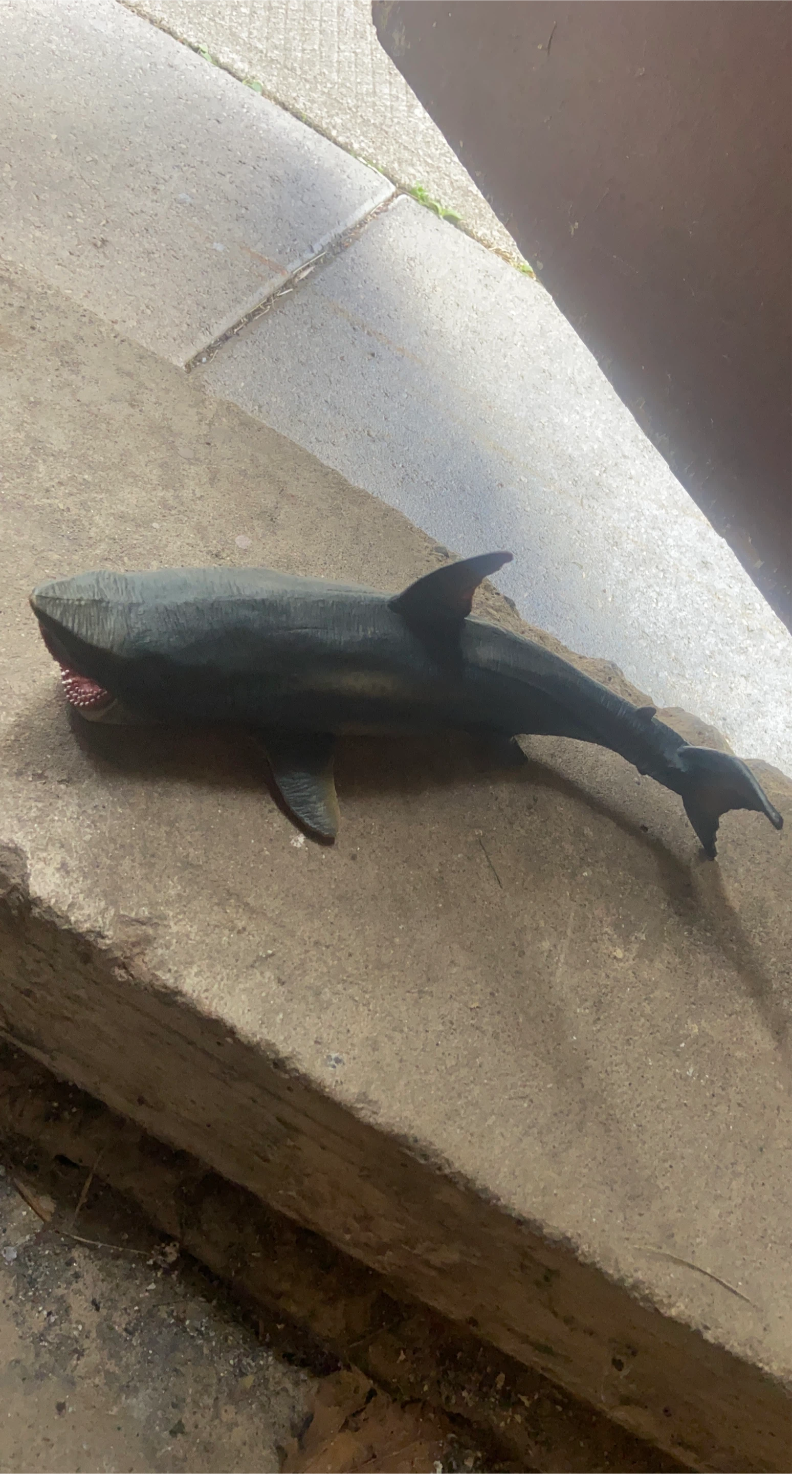 Toy Shark Figurine