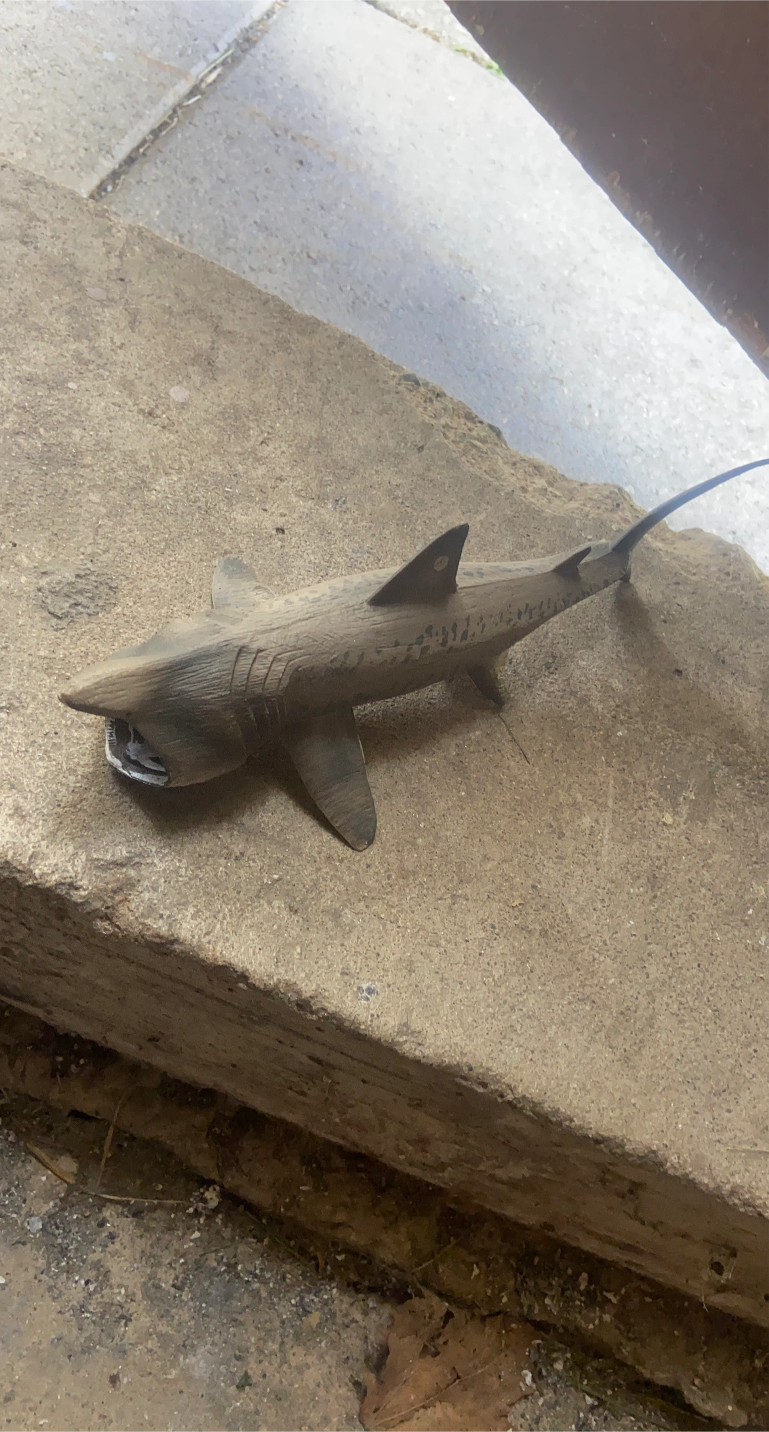 Toy shark