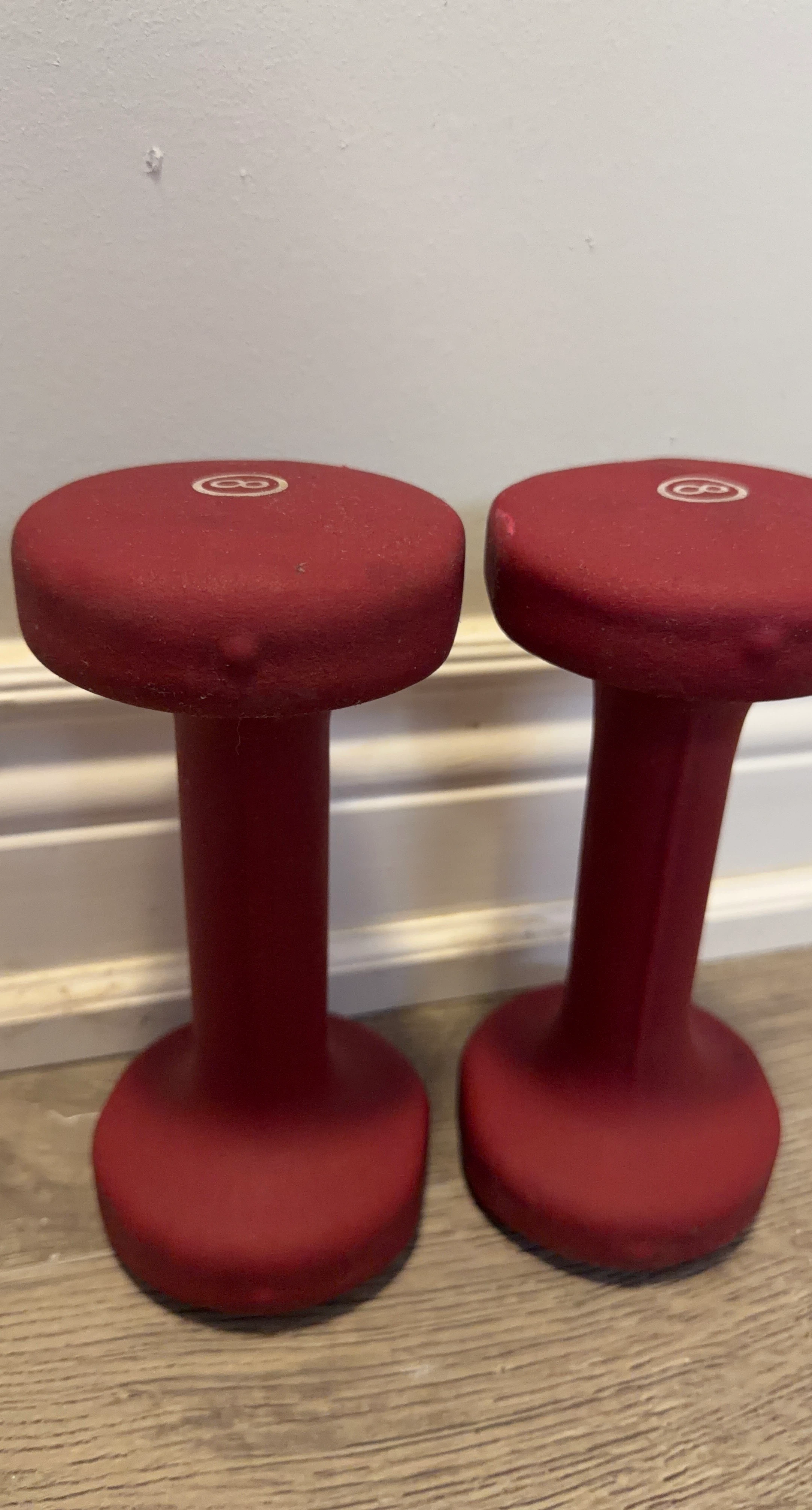 Set of 2 8lb Red Dumbbells