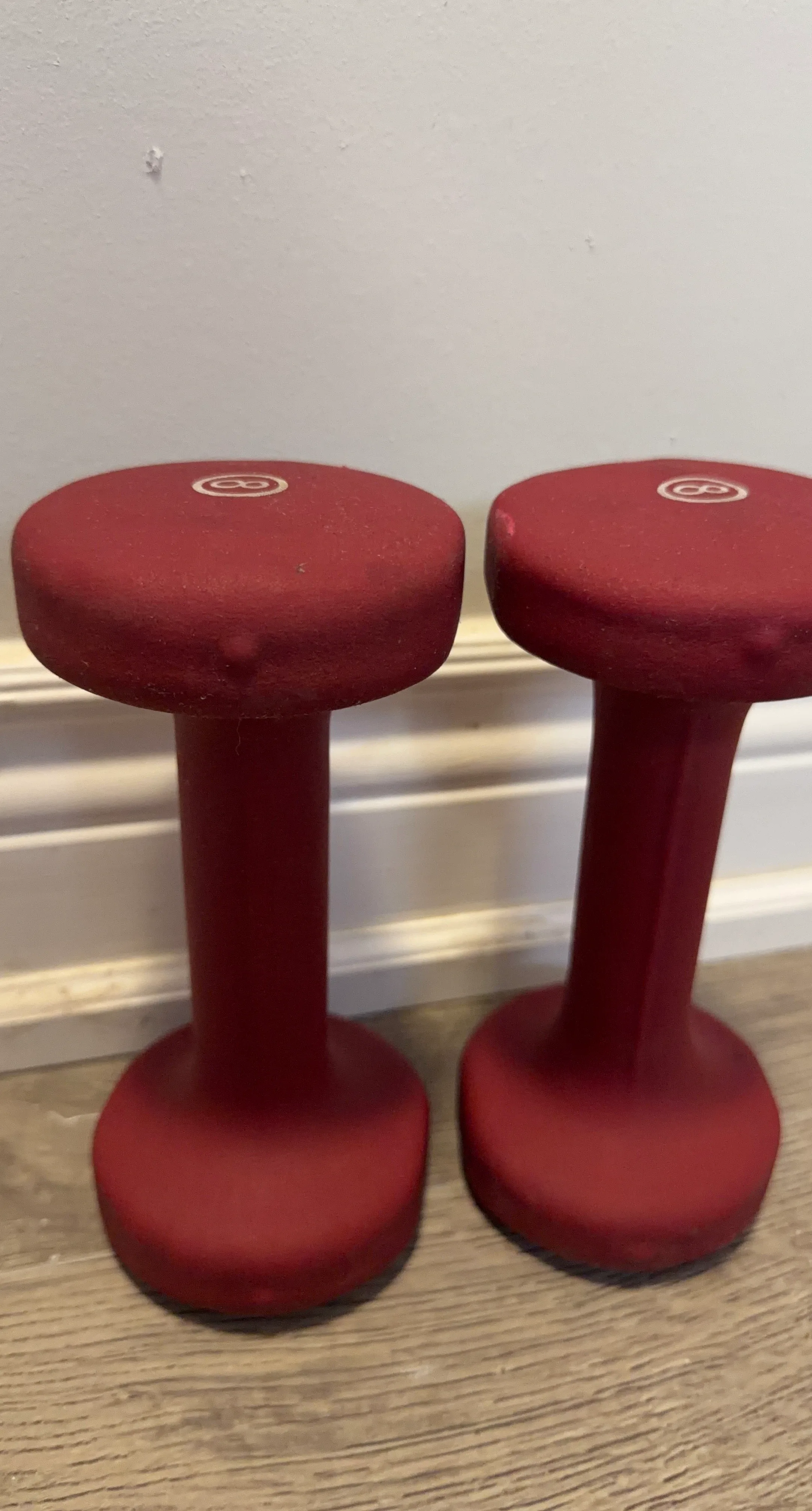 Set of 2 8lb Red Dumbbells