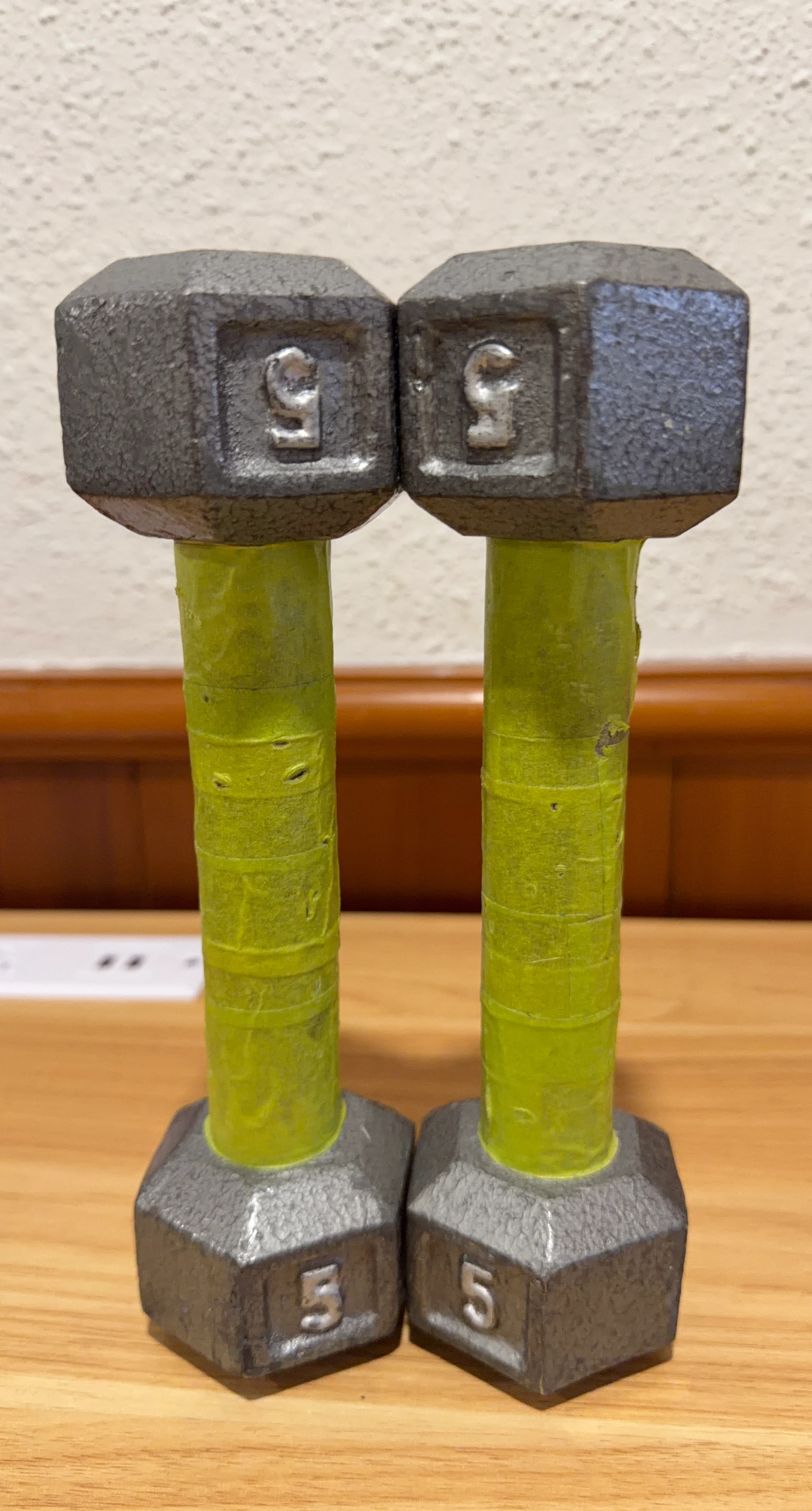 5 lb Dumbbell Set