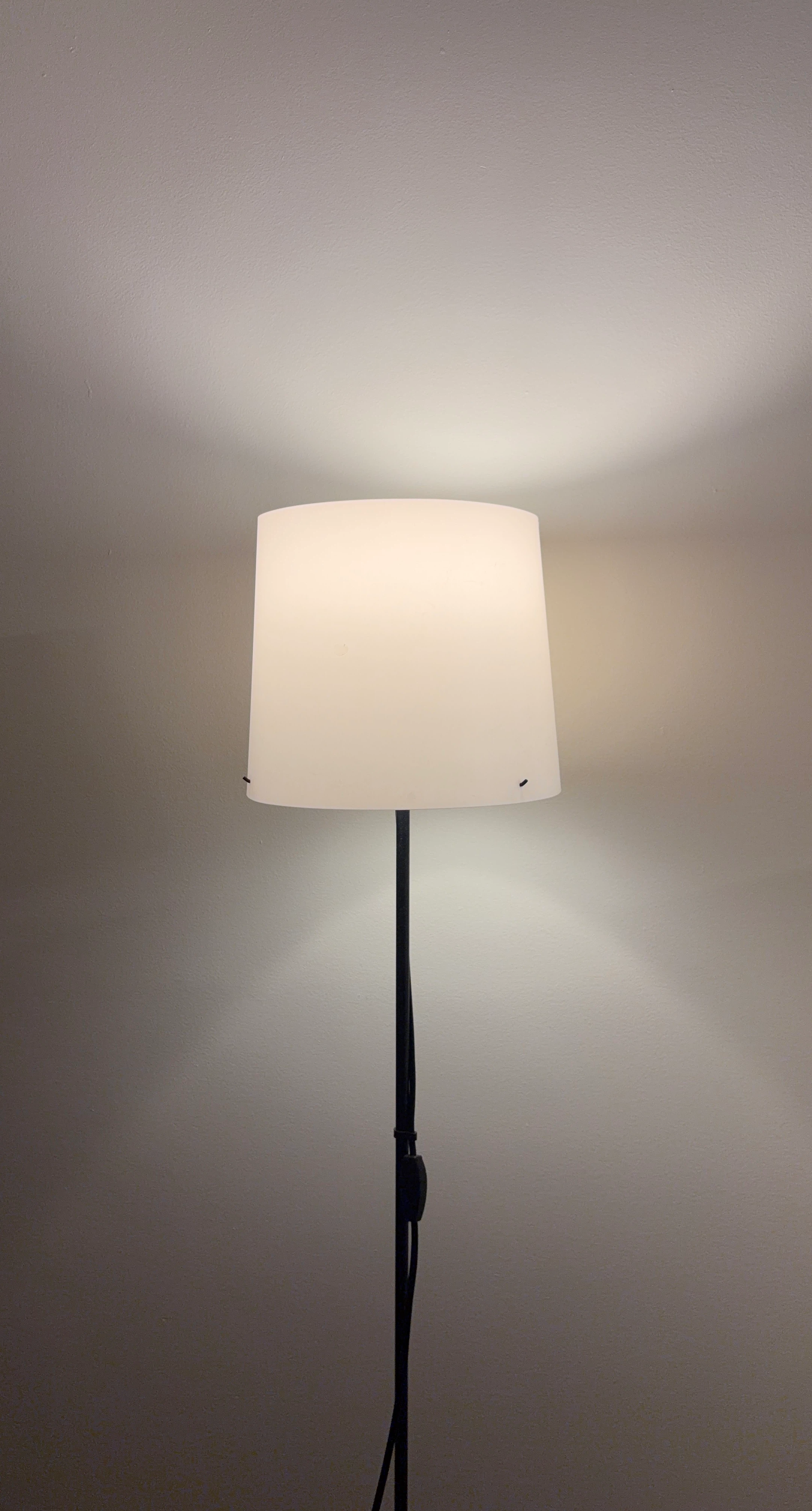 Black Floor Lamp with White Shade