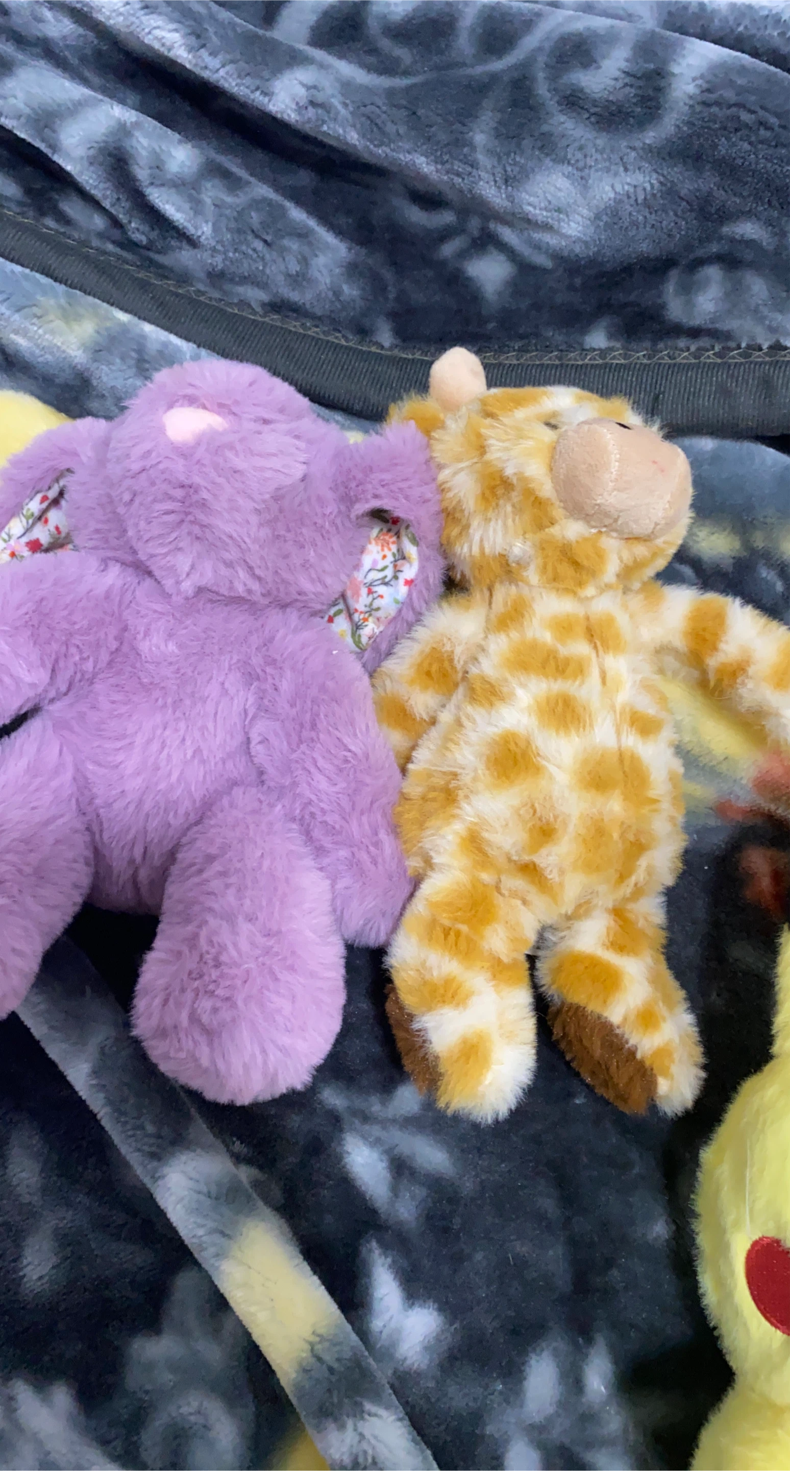 Purple Bunny and Giraffe Plush Toys
