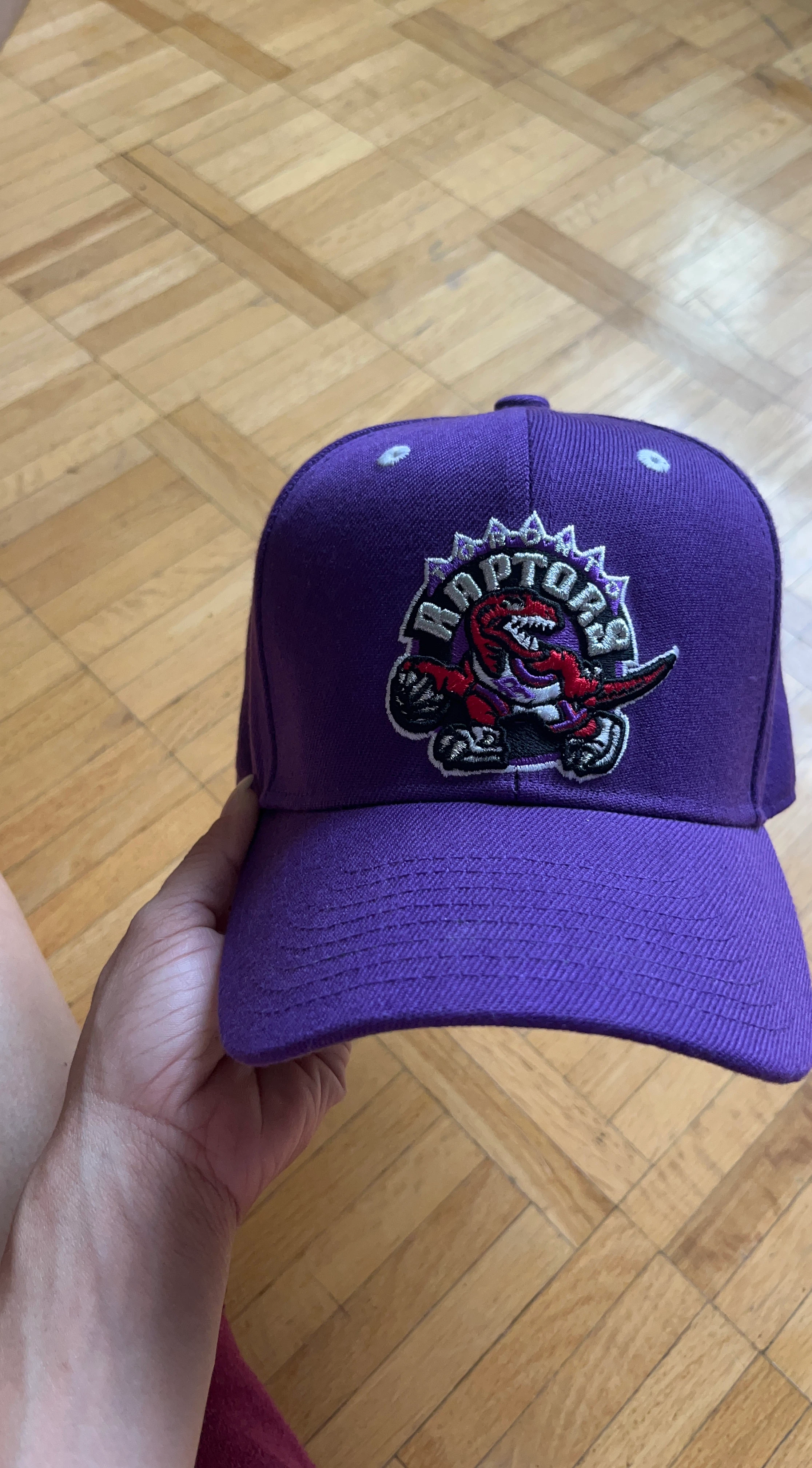 Toronto Raptors Purple Cap