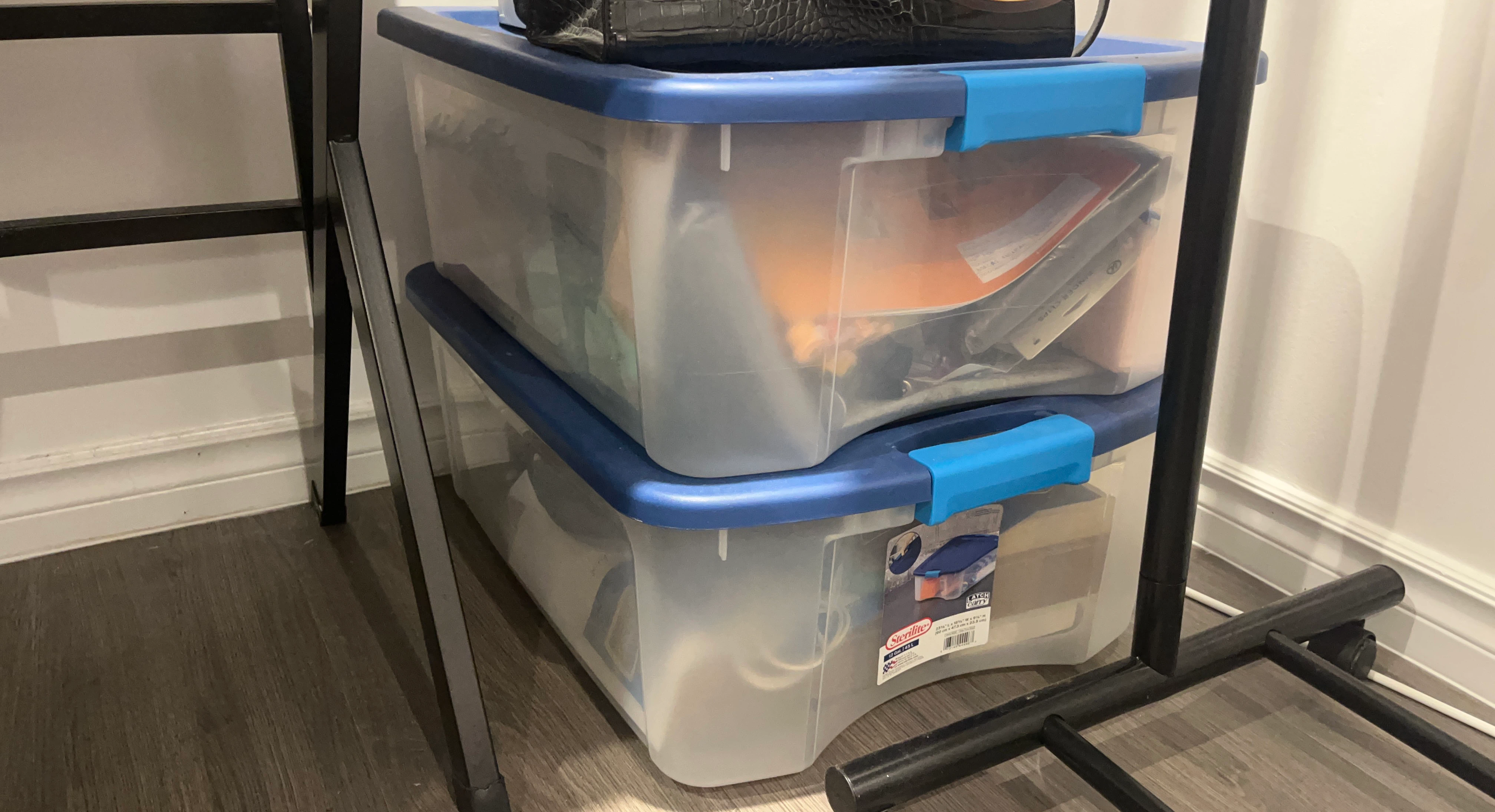 2 Sterilite Storage Bins (12 gallons/45 L)