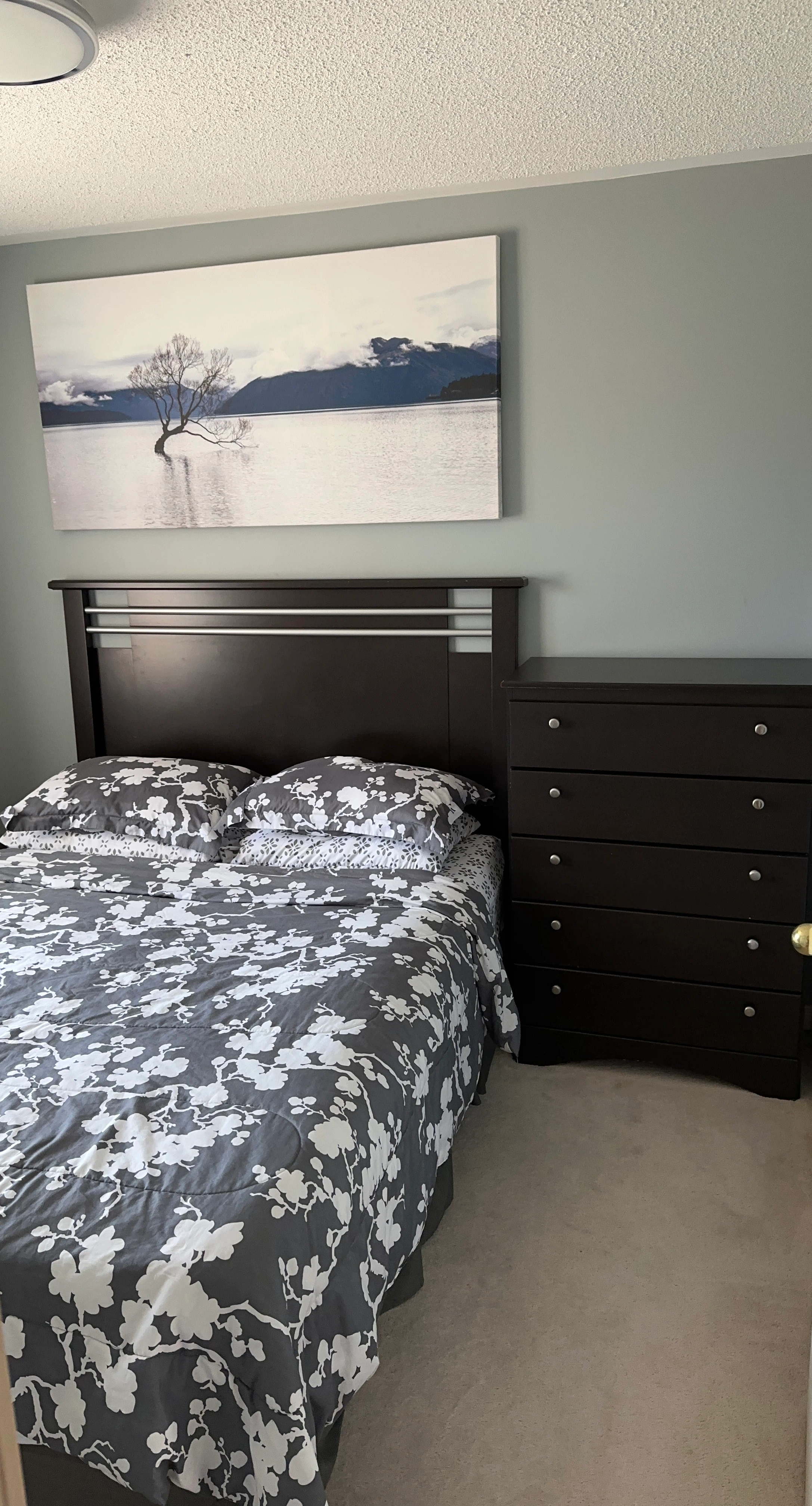 Queen Bed, Wall Picture and Dark Brown 5-Drawer Dresser