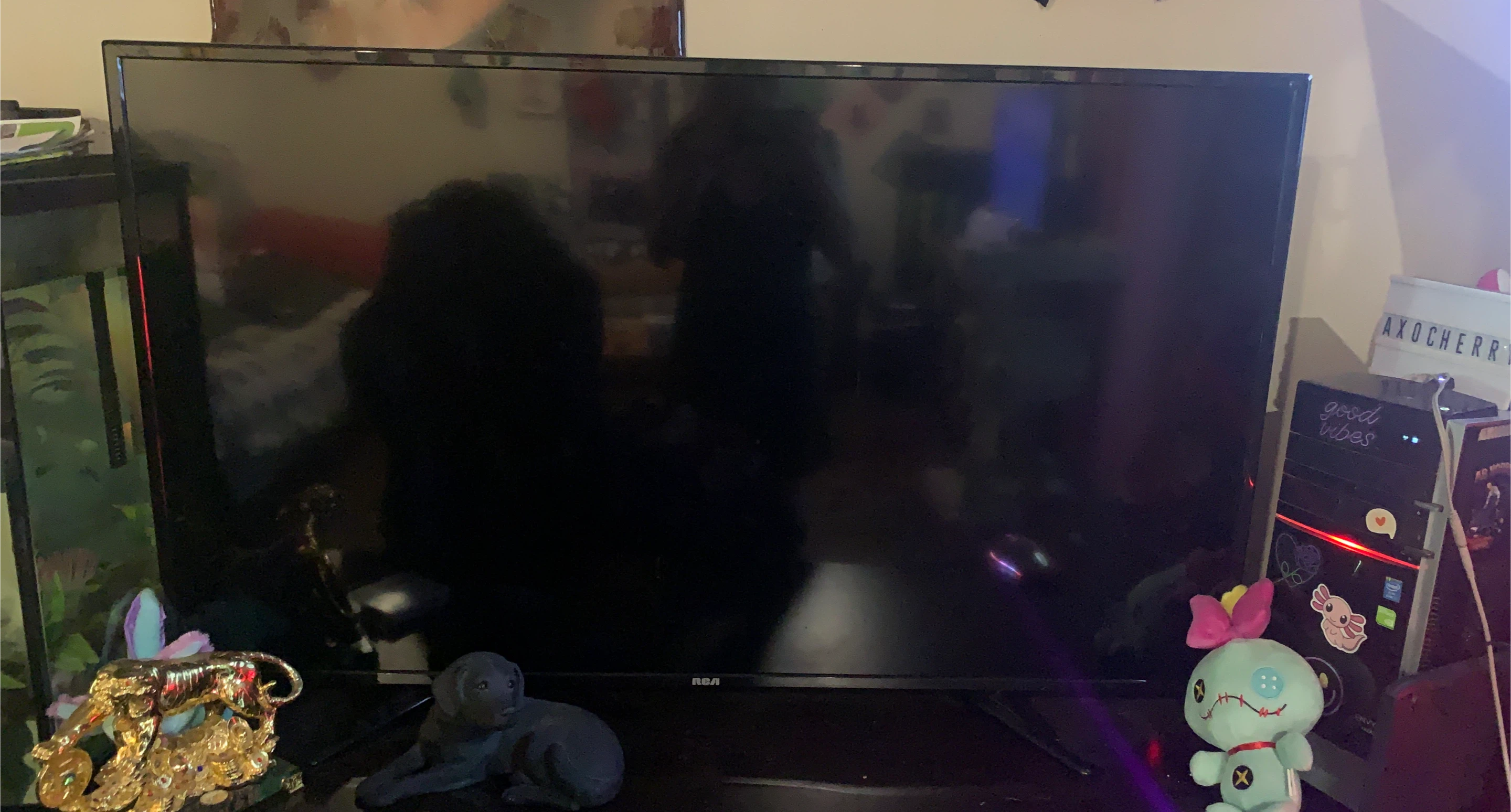 RCA Flat Screen TV