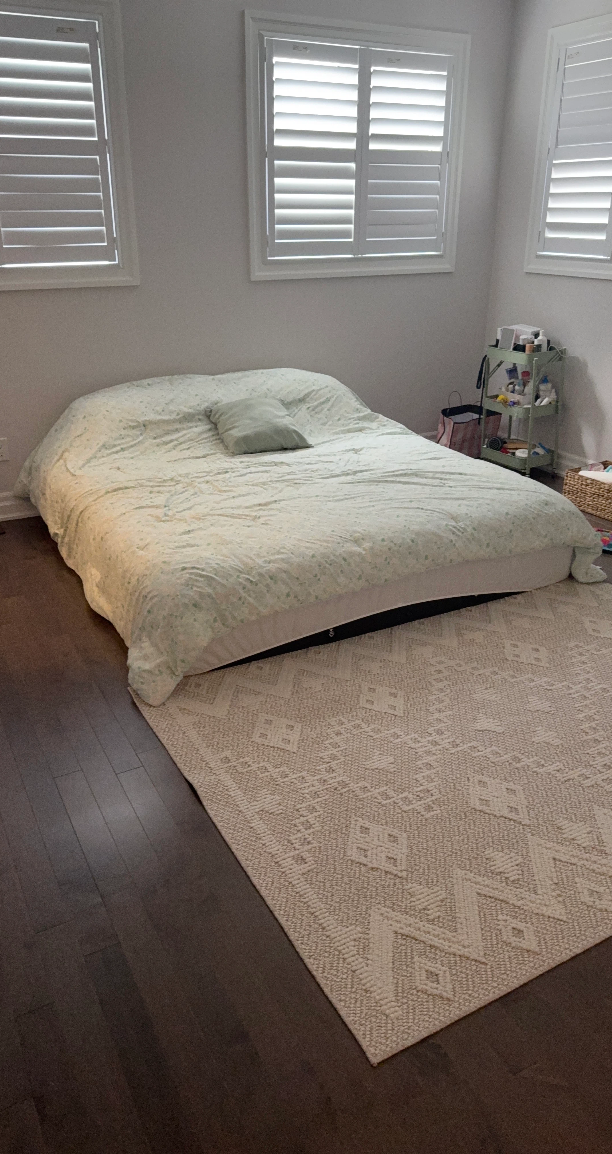 Queen Size Comforter with Pillow